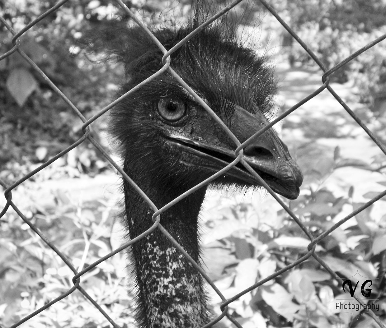 Kodak EASYSHARE M1093 IS DIGITAL CAMERA sample photo. Animal life photography