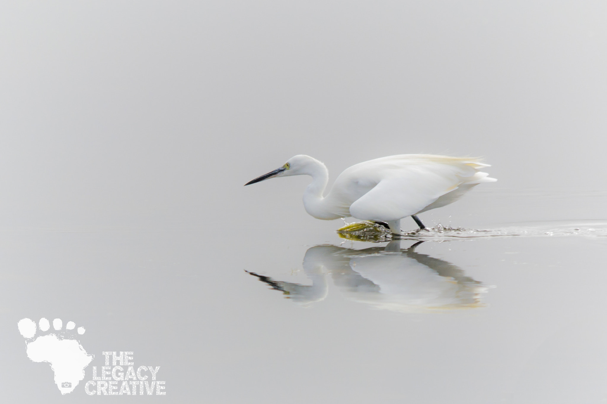 Sigma 150-500mm F5-6.3 DG OS HSM sample photo. Hunting photography