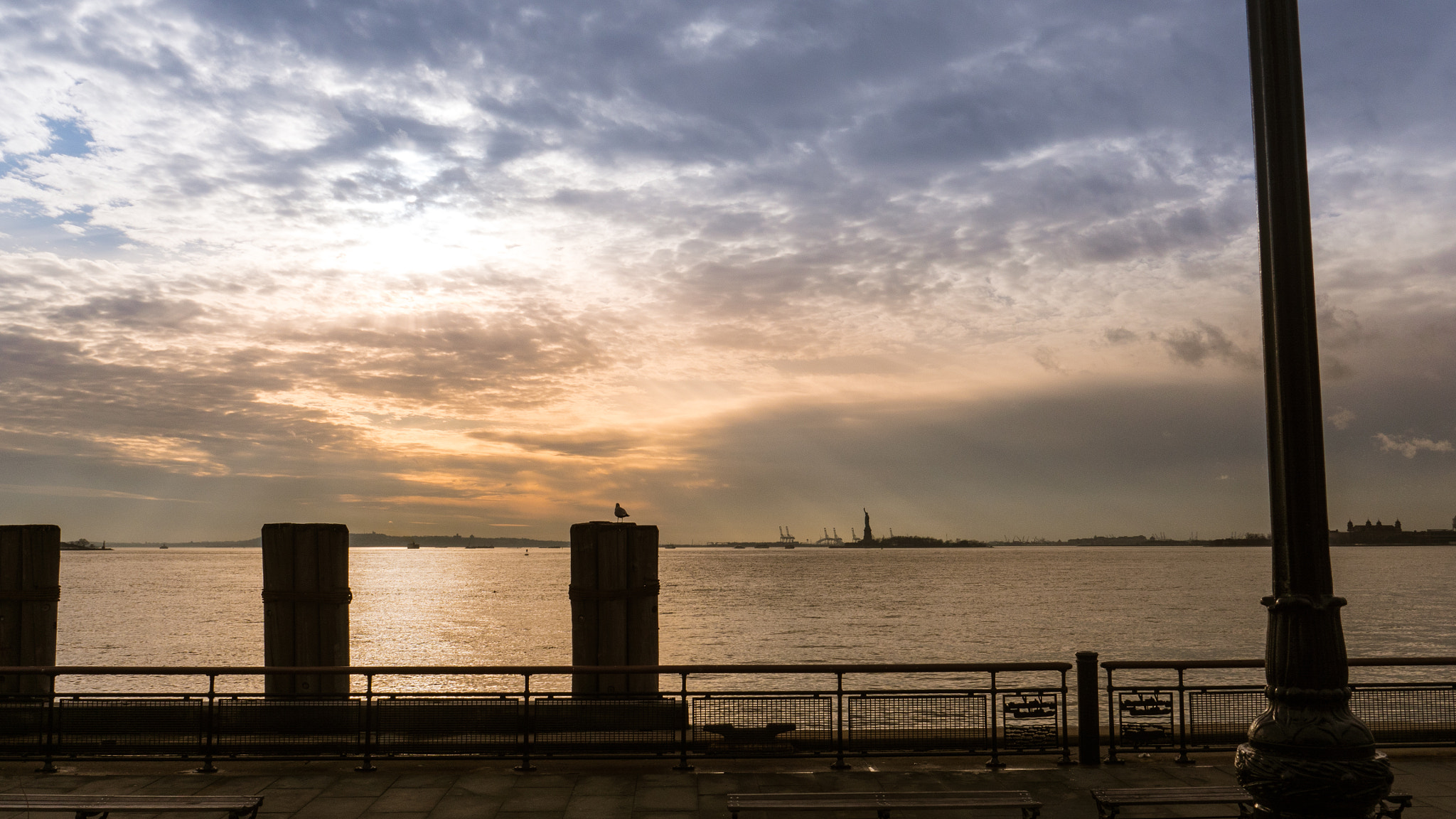 Panasonic Lumix DMC-GH4 sample photo. Bird of liberty photography