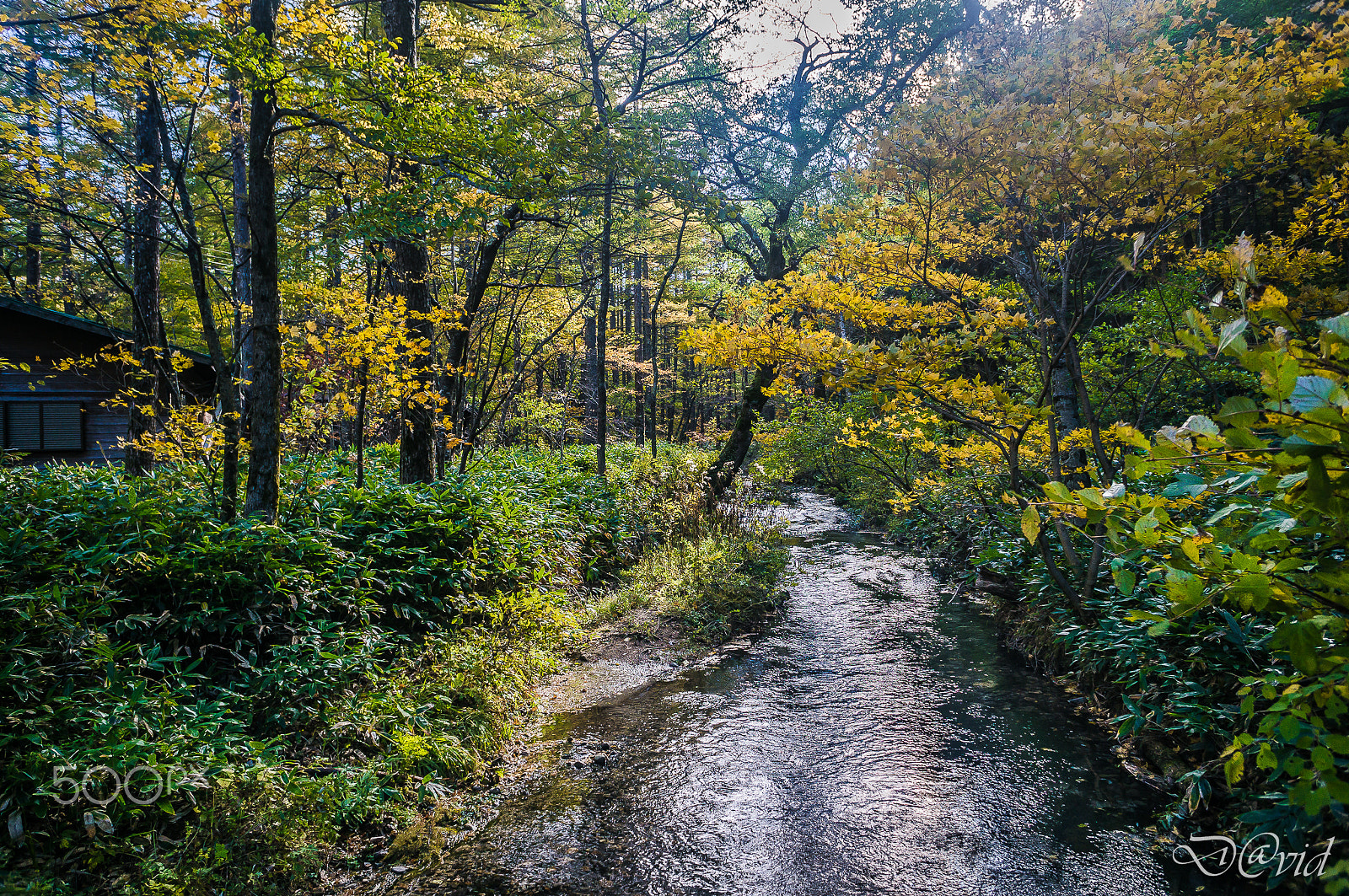 Sony Alpha NEX-6 + Sony E 16mm F2.8 sample photo. 絕美上高地 photography