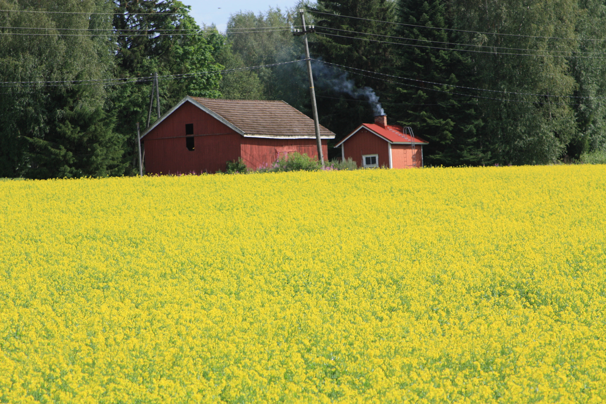 Canon EF 28-105mm f/3.5-4.5 USM sample photo. Sauna and field. photography