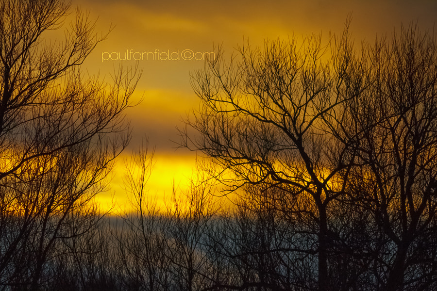 Canon EOS 50D + Canon EF 400mm F5.6L USM sample photo. Winter sunset photography