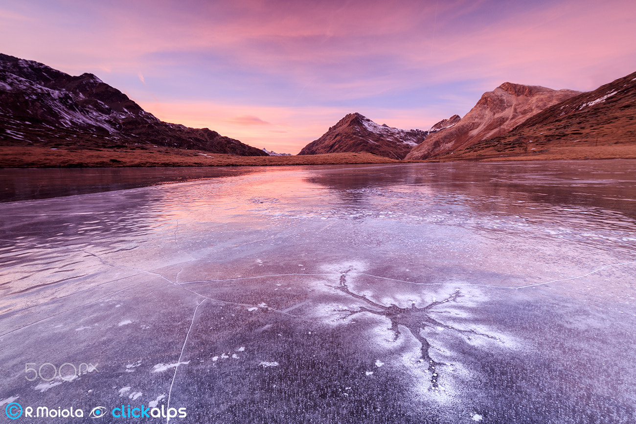 Canon EOS 5DS + Canon TS-E 17mm F4L Tilt-Shift sample photo. Spider ice photography