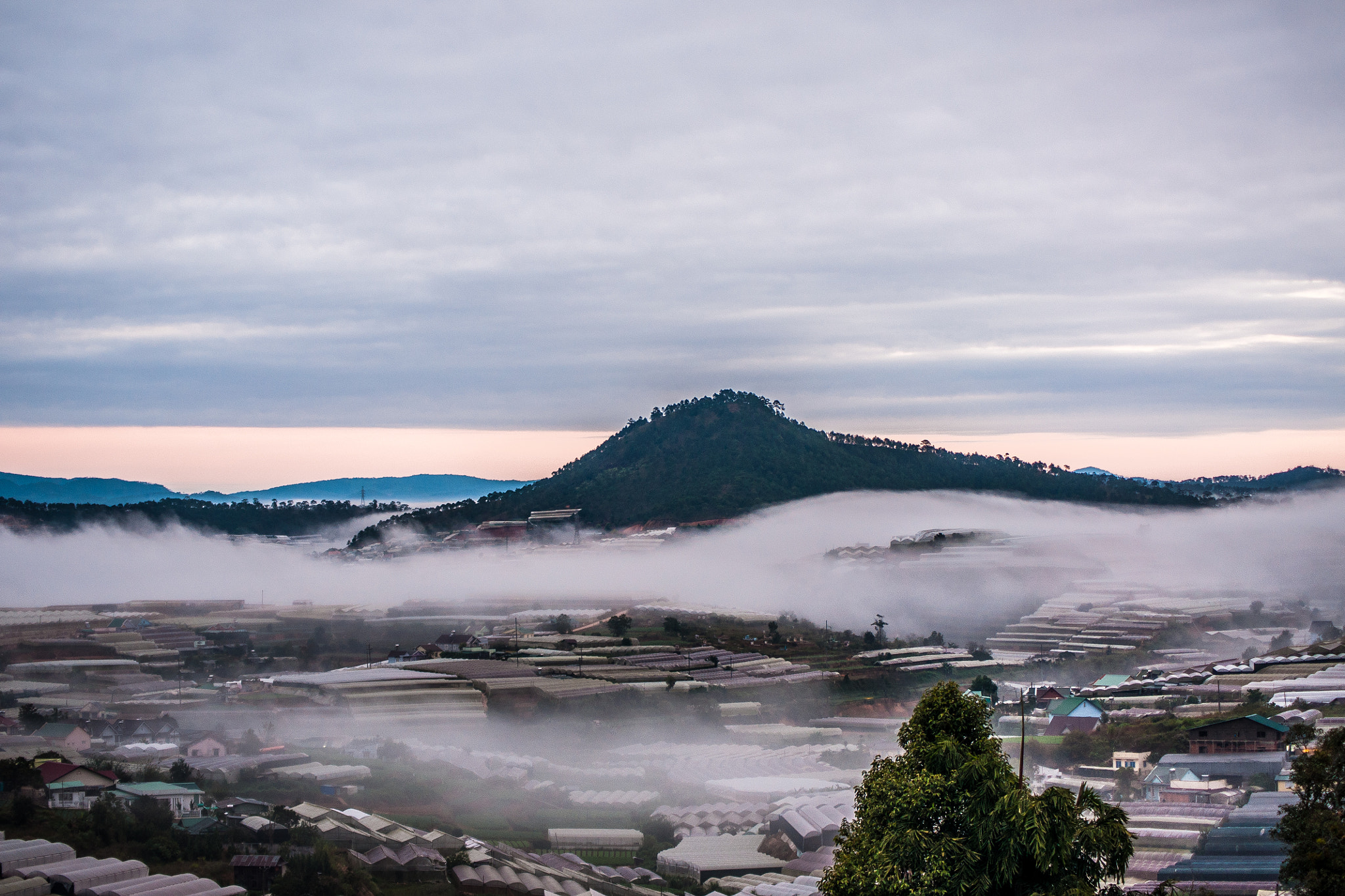 Sony DT 55-200mm F4-5.6 SAM sample photo. In the fog photography