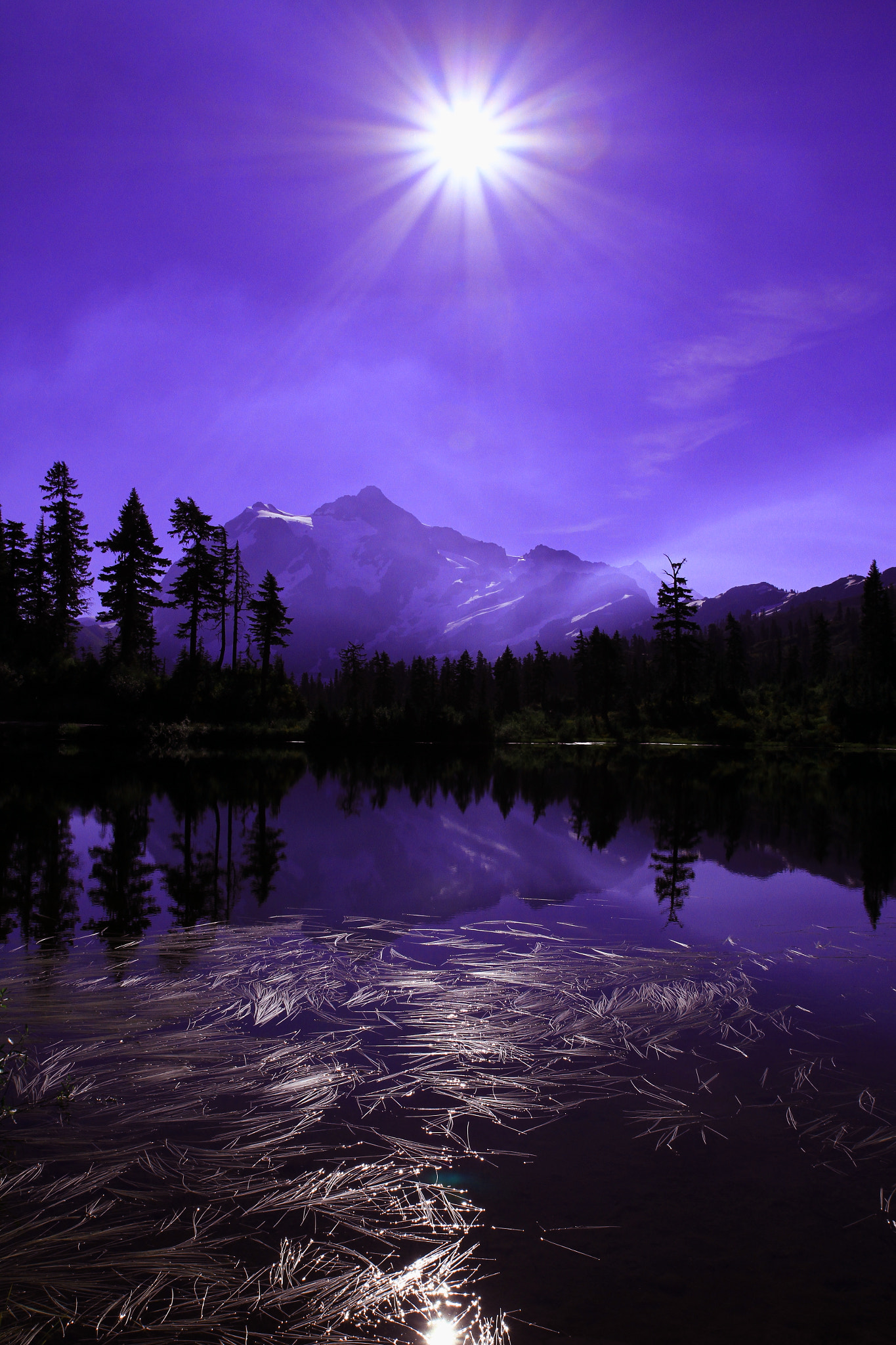Canon EOS 7D + Canon EF 17-40mm F4L USM sample photo. Lavender star photography
