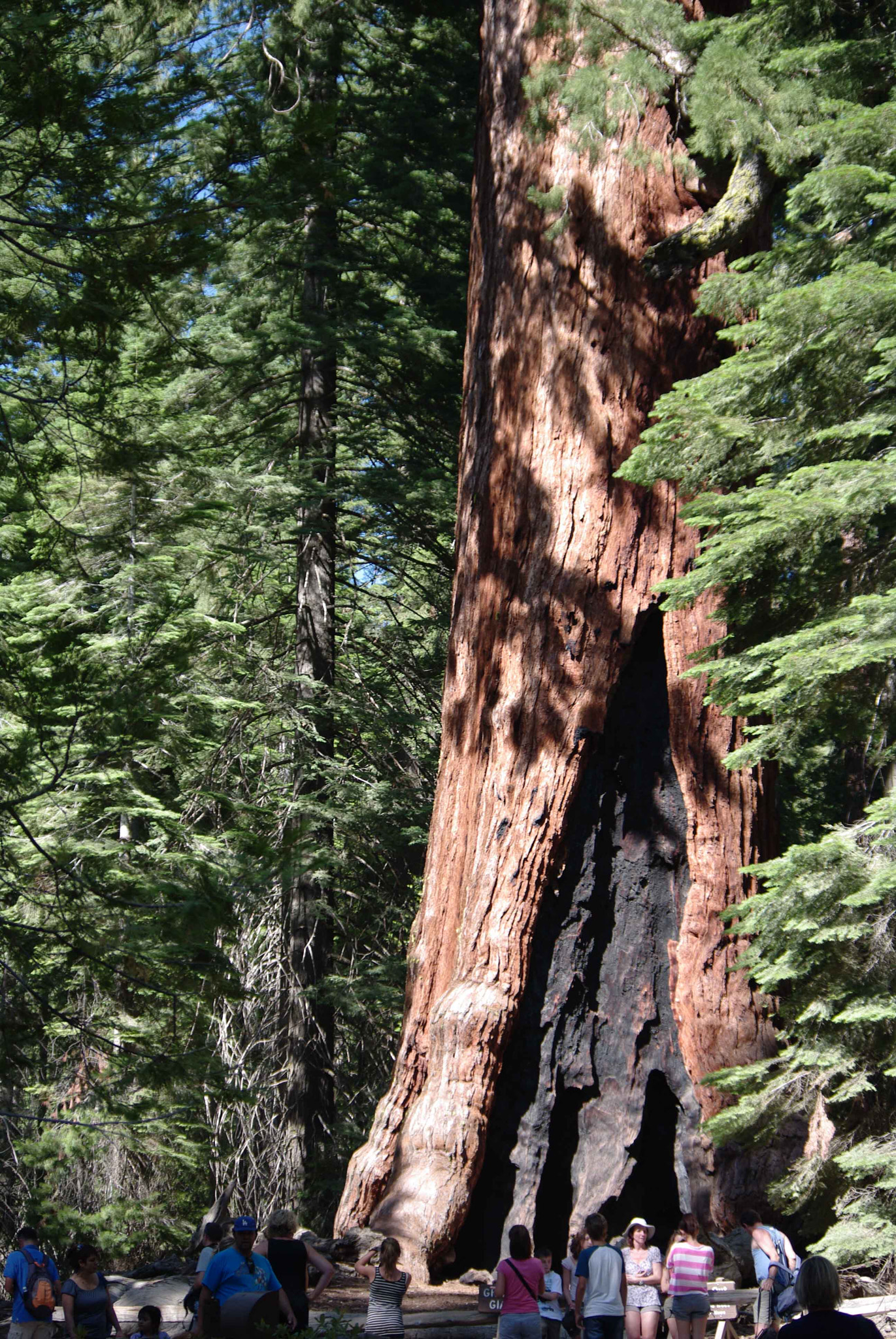 Pentax smc DA 50-200mm F4-5.6 ED sample photo. Usa california photography