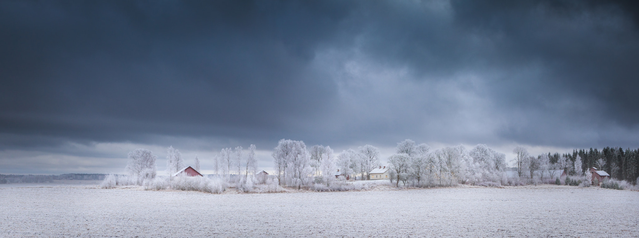 Canon EF 20-35mm F3.5-4.5 USM sample photo. Frost photography