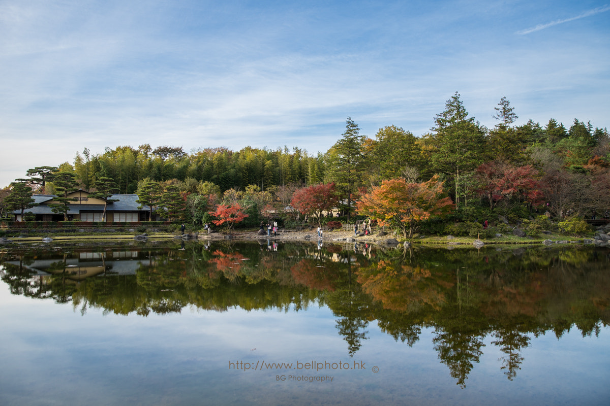 Sony a7 + Canon EF 85mm F1.2L II USM sample photo. 昭和記念公園 photography