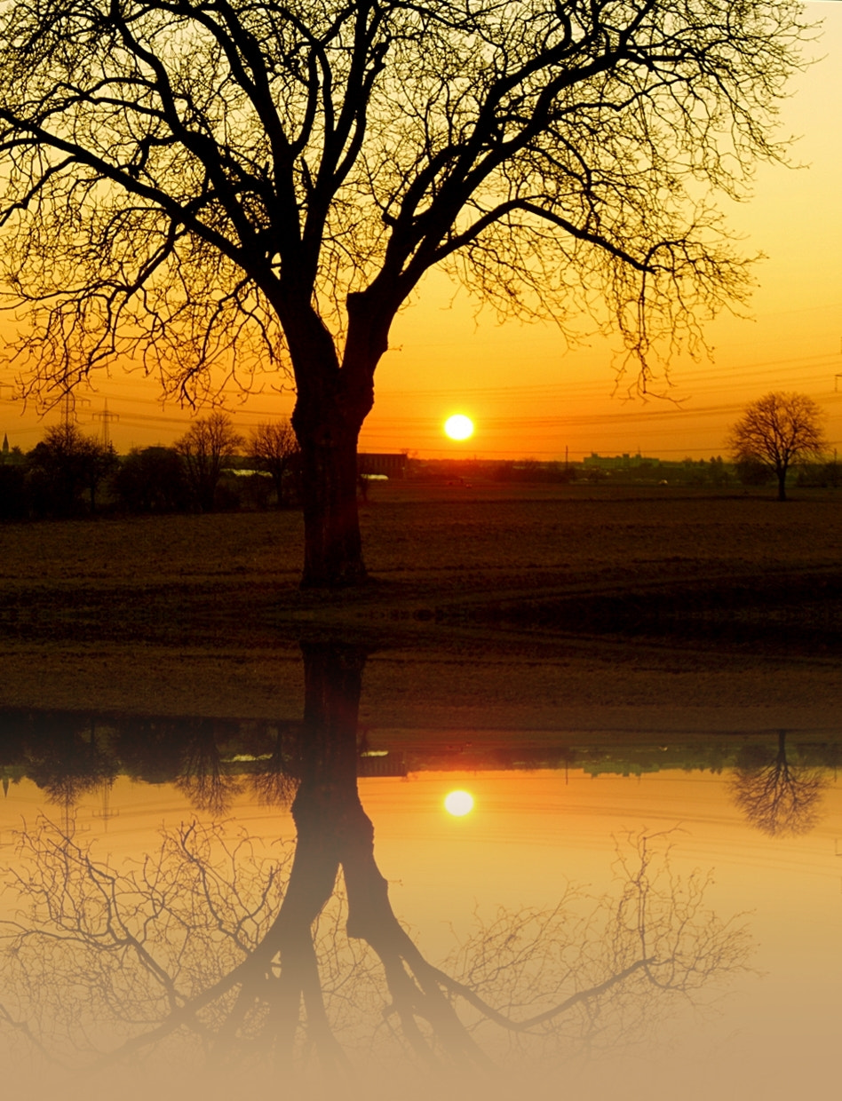 Sony DT 18-55mm F3.5-5.6 SAM sample photo. Sundown photography