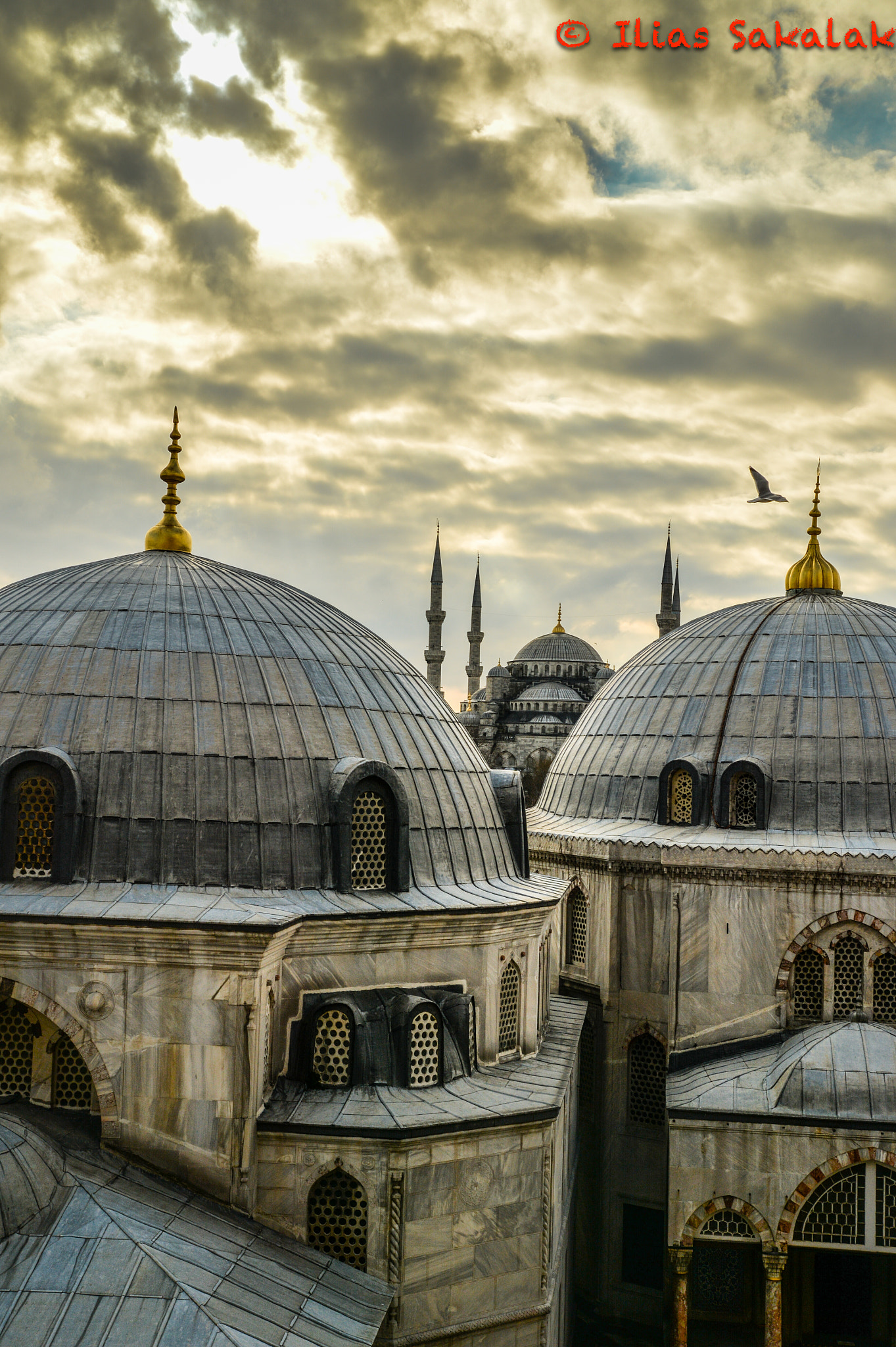 Nikon Df sample photo. Istanbul photography