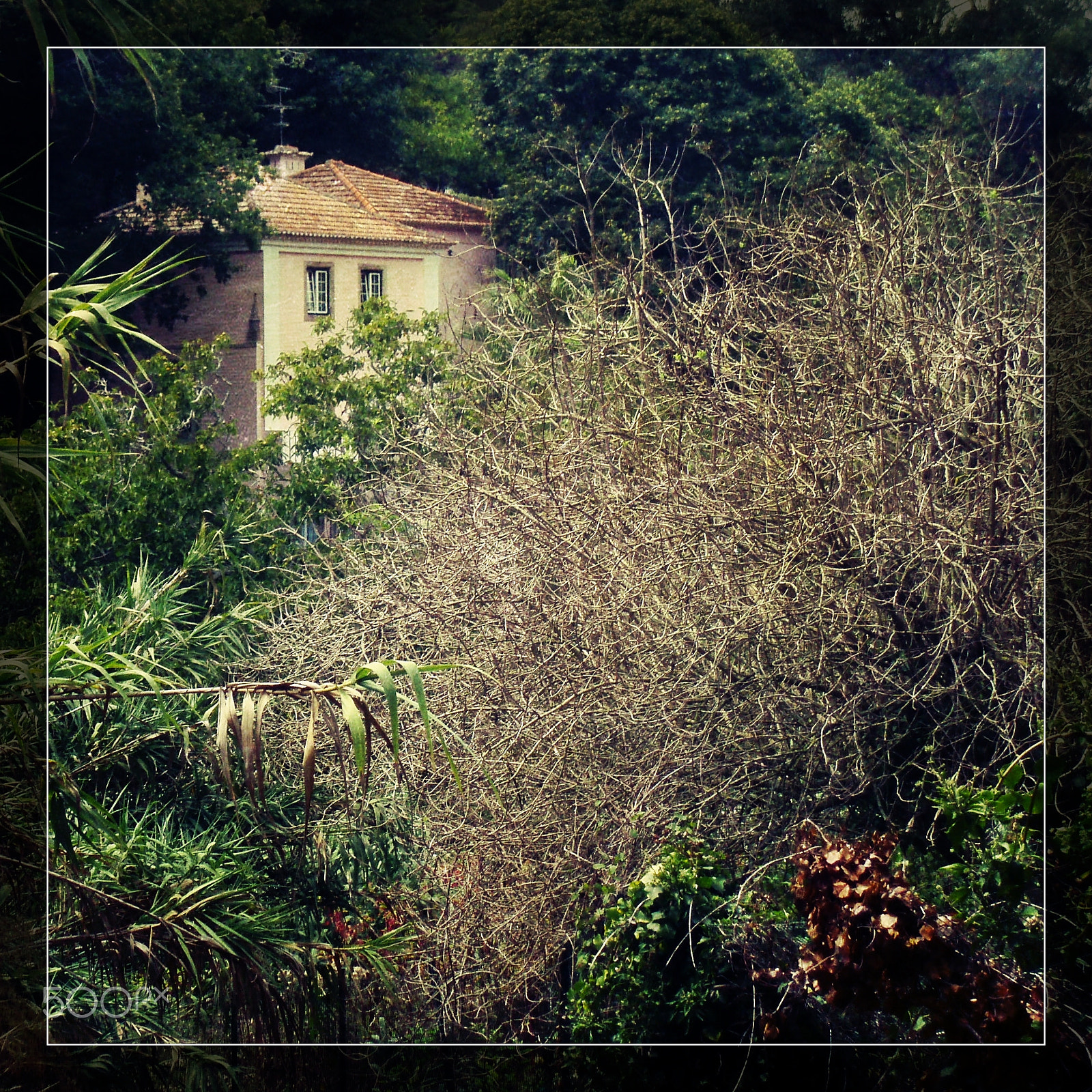 Olympus u760,S760 sample photo. Sintra 2015 photography