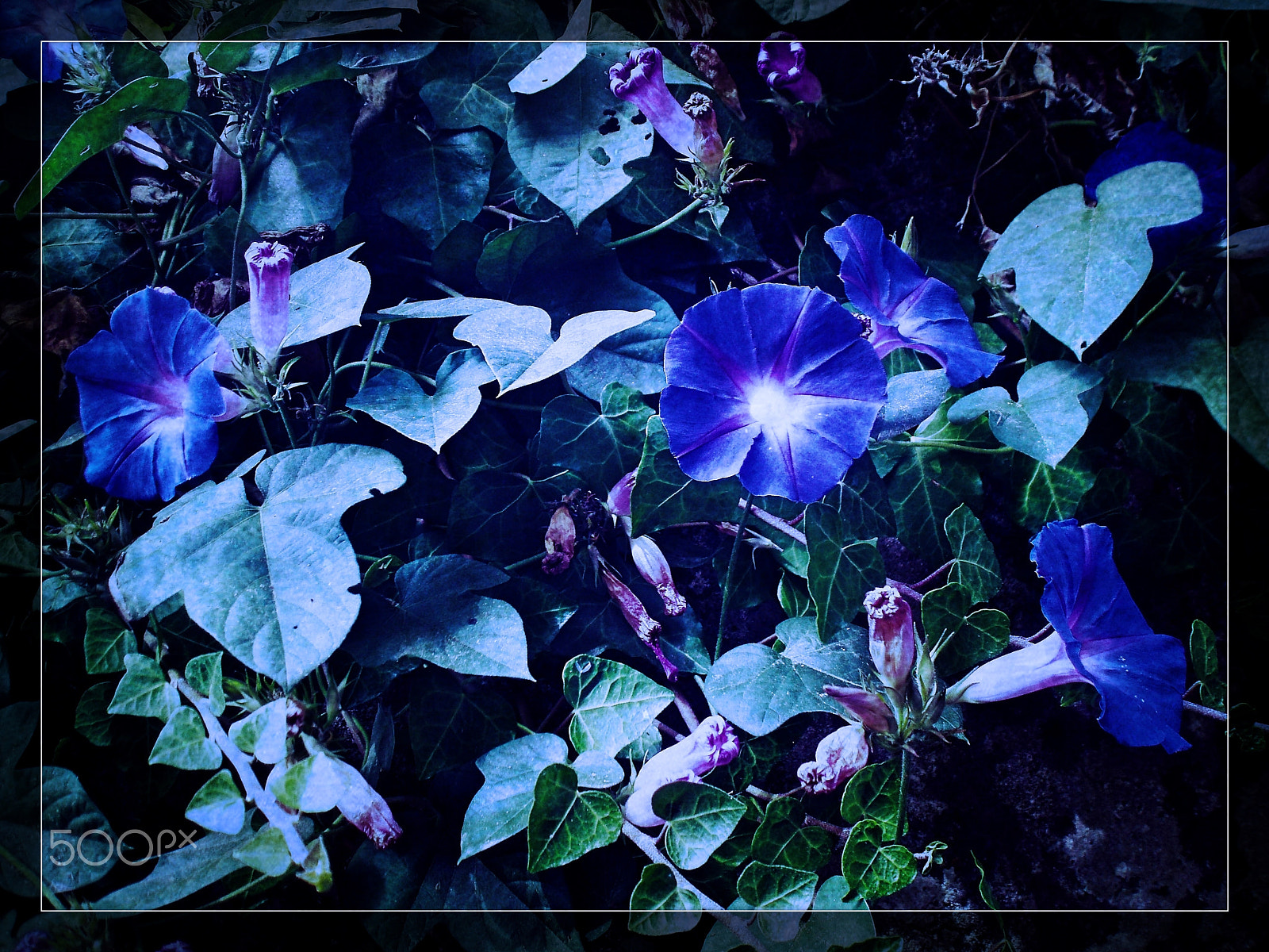 Olympus u760,S760 sample photo. Sintra 2015 photography
