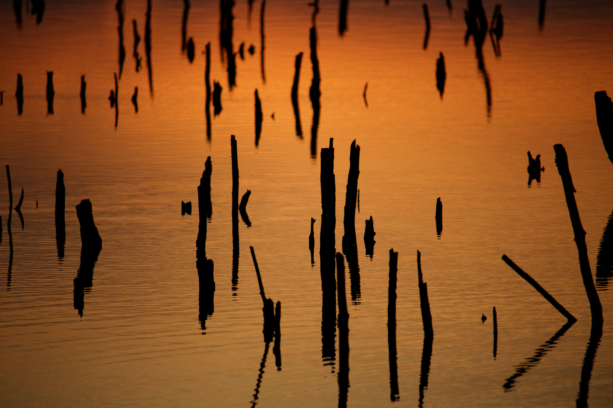 Canon EOS M sample photo. Shadows on the water photography
