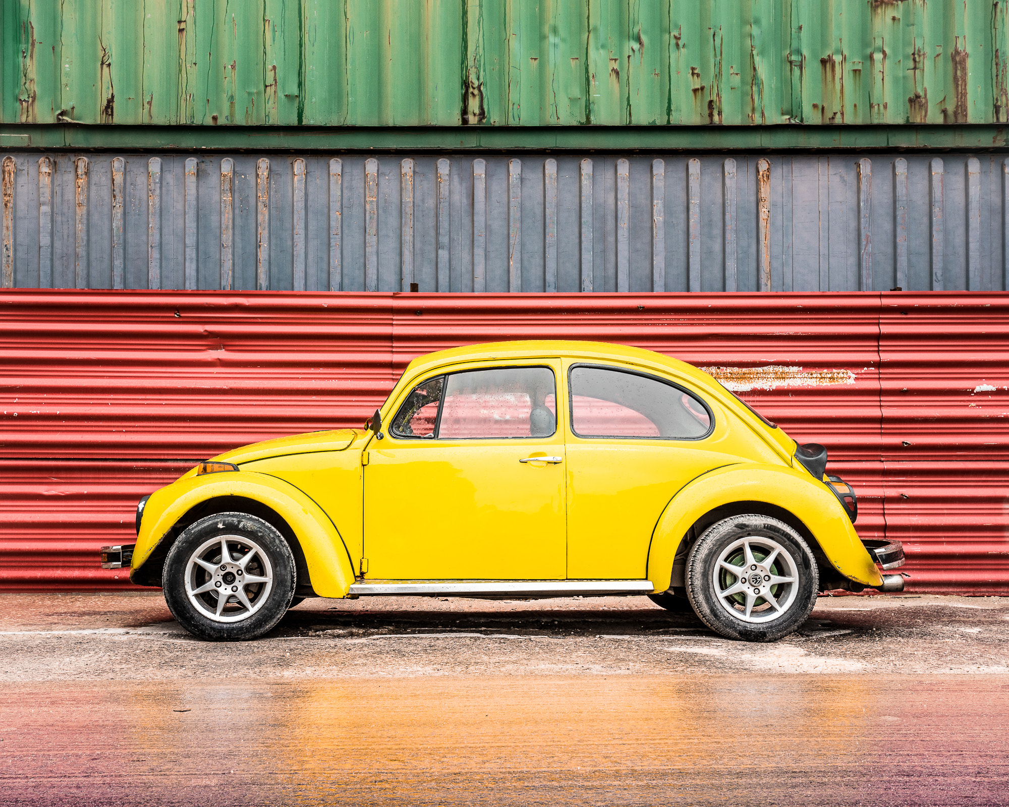 Sony a7R + Canon EF 16-35mm F4L IS USM sample photo. Very yellow beetle photography