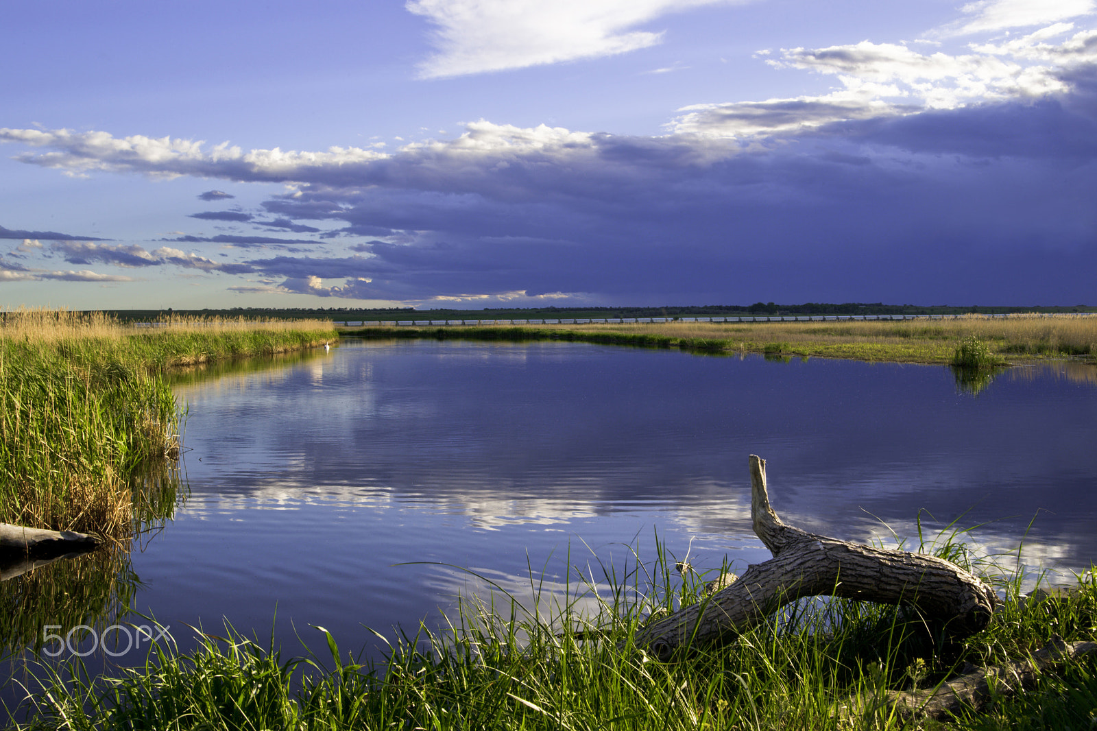 Canon EOS-1D Mark III sample photo. Calm before the storm photography