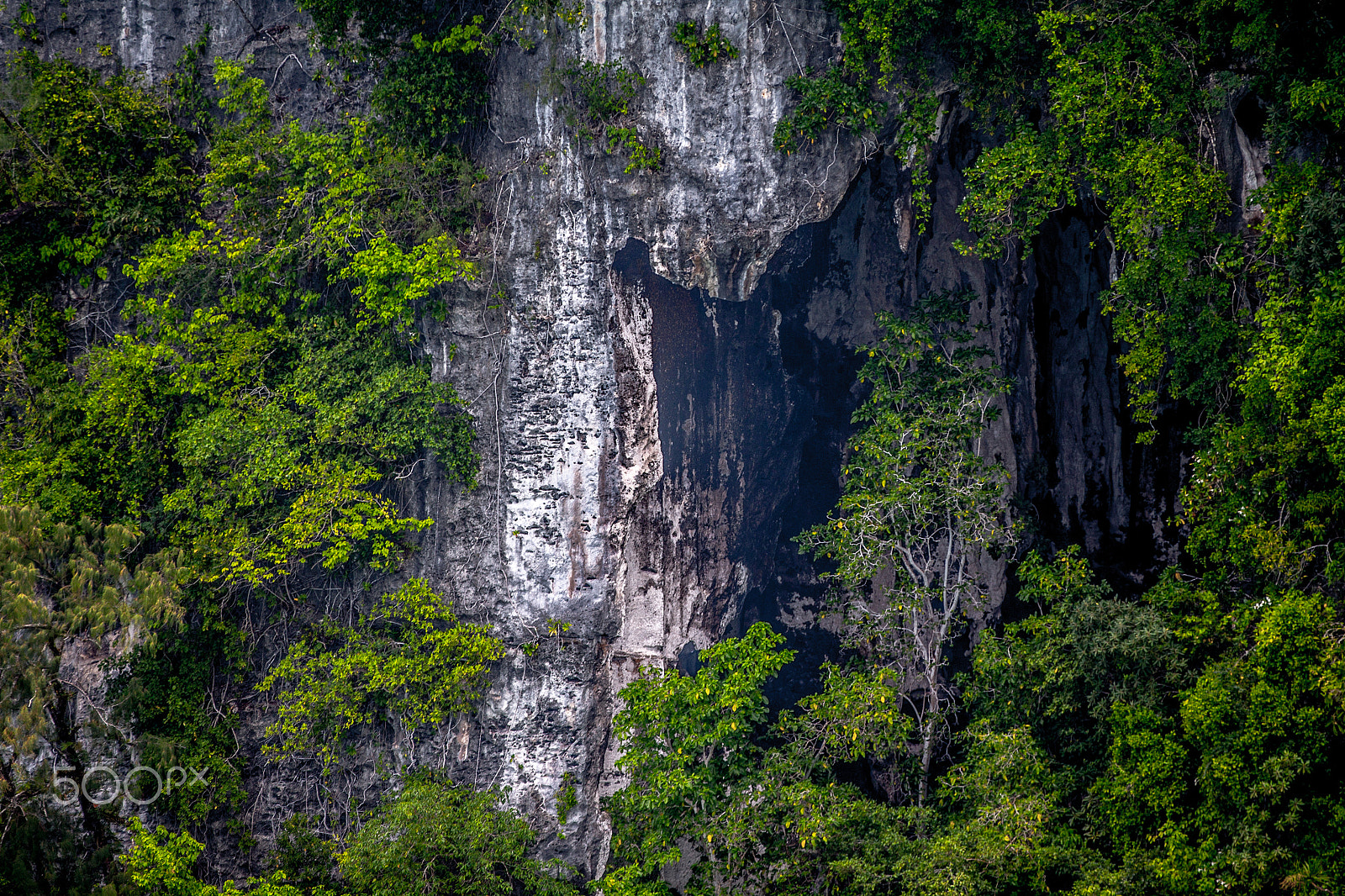 Canon EF 70-200mm F2.8L IS II USM sample photo. Palau green rock islands photography