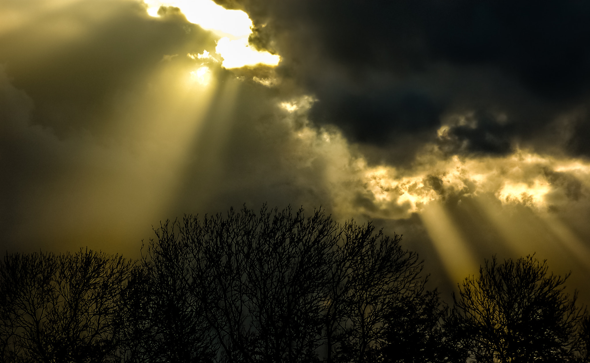 AF Zoom-Nikkor 80-200mm f/4.5-5.6D sample photo. Darkness and light photography