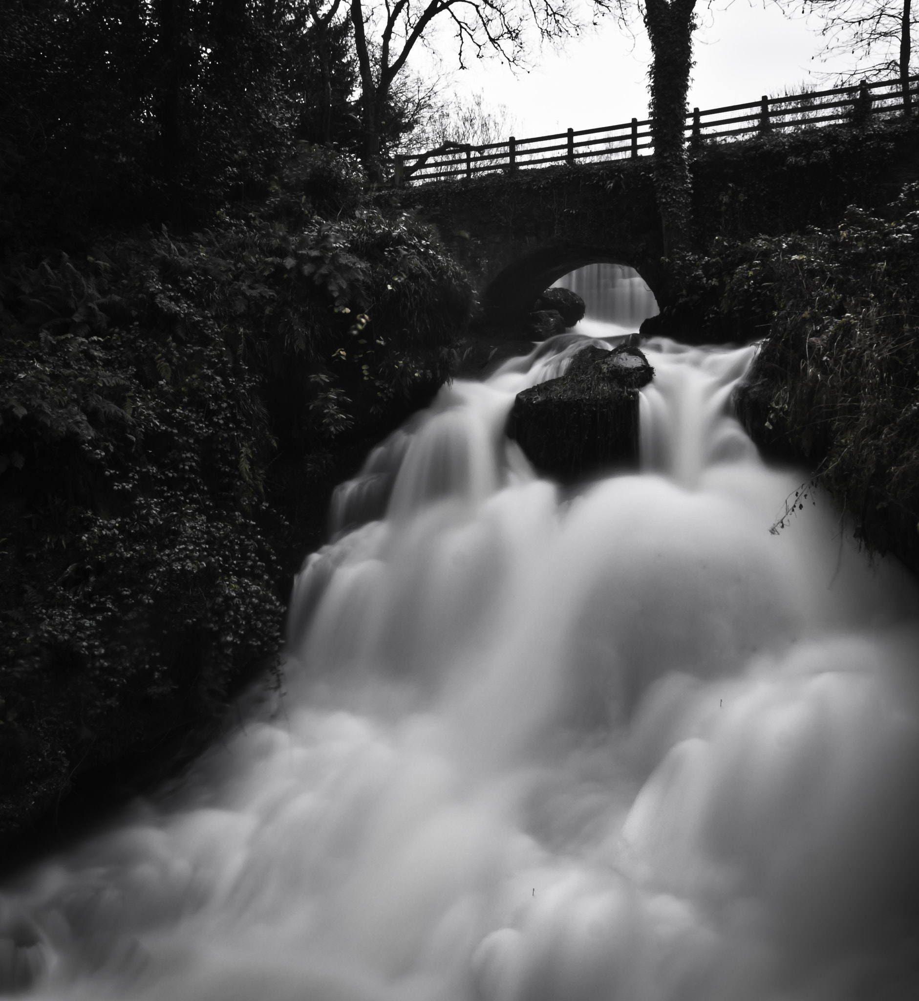 Samsung NX1000 + Samsung NX 16mm F2.4 Pancake sample photo. Torrent photography