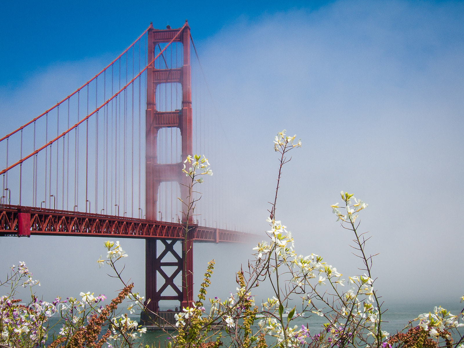 Canon POWERSHOT S70 sample photo. Golden gate bridge fog photography