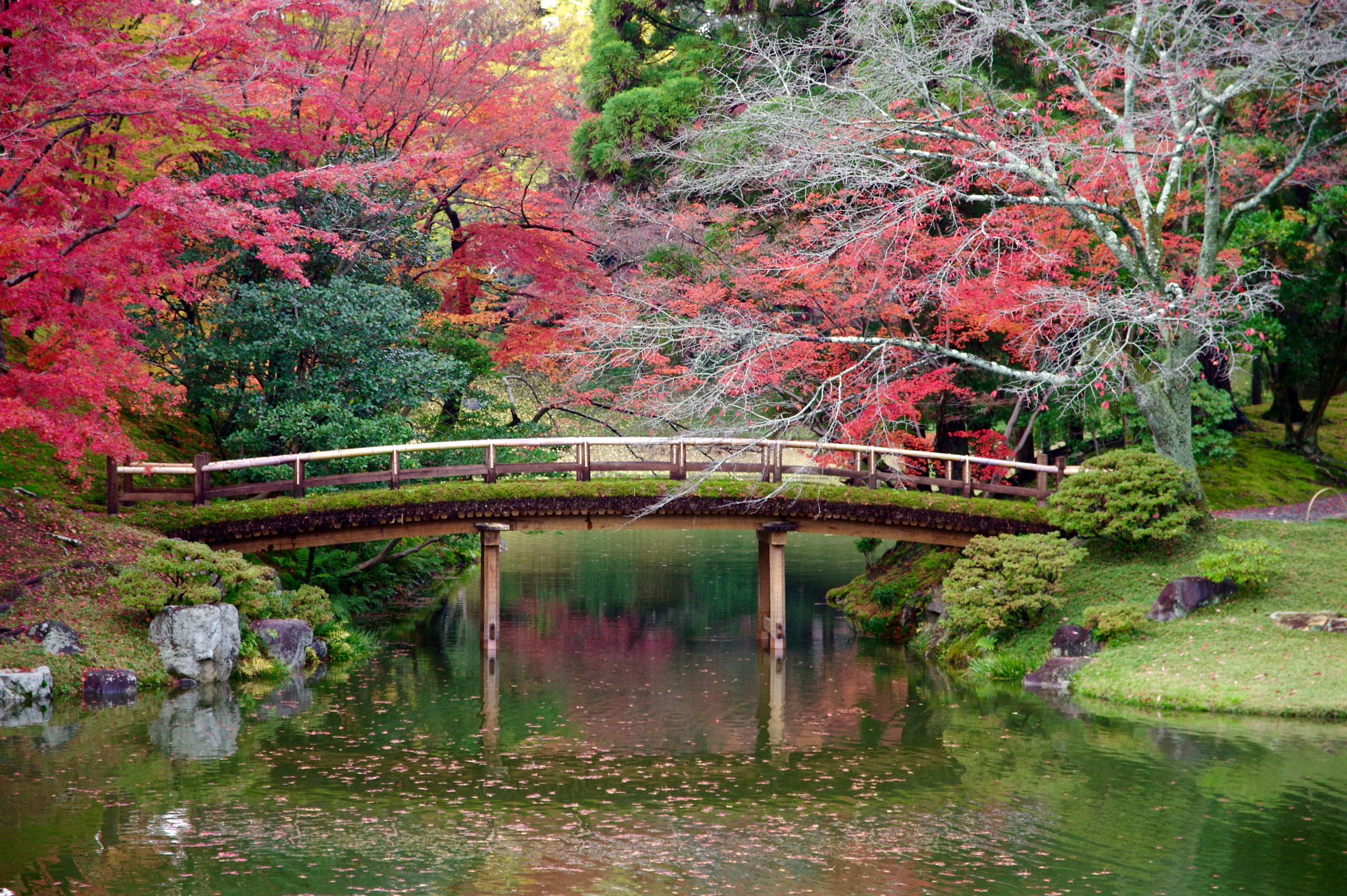 Sigma 17-70mm F2.8-4 DC Macro HSM Contemporary sample photo. Autumn in bridge photography