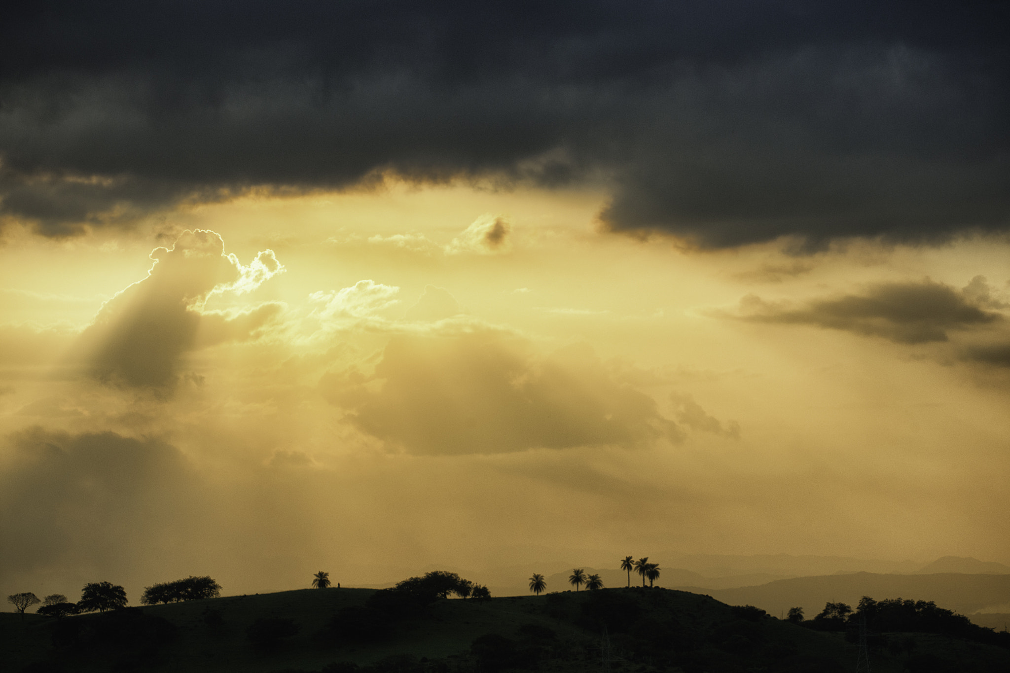 Nikon D3X sample photo. December light over los angeles photography