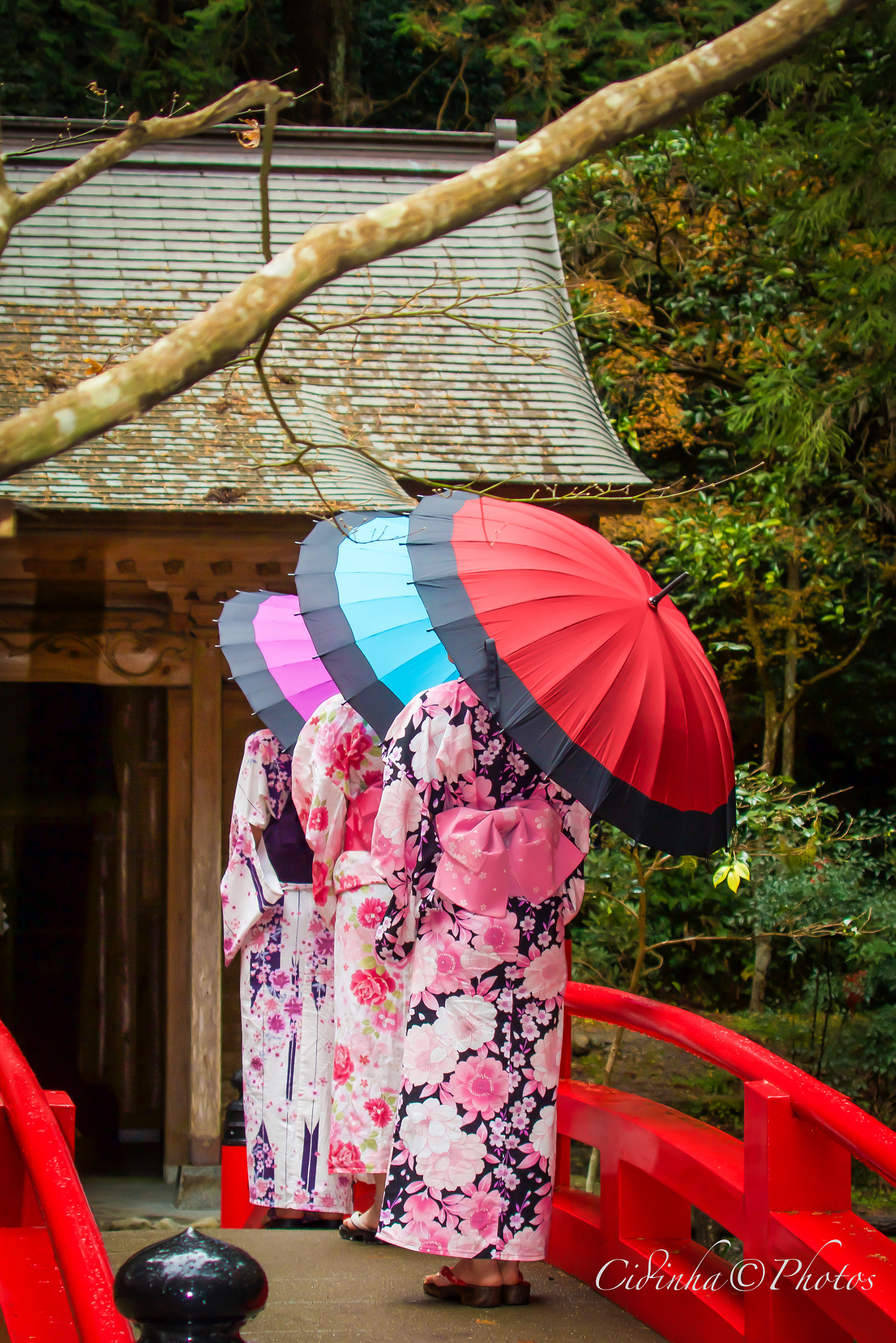 Canon EF 35-350mm F3.5-5.6L USM sample photo. Mori photography