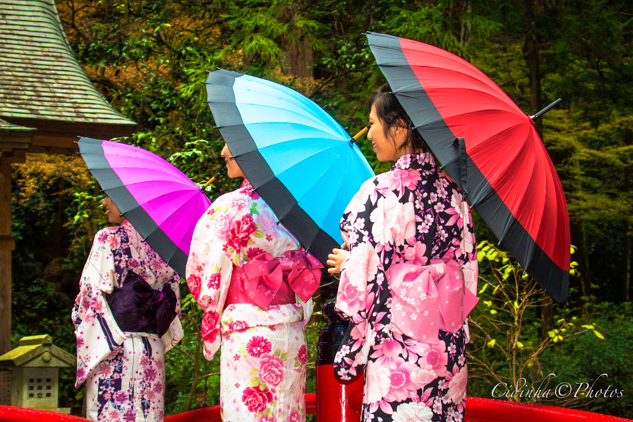 Canon EF 35-350mm F3.5-5.6L USM sample photo. Mori photography