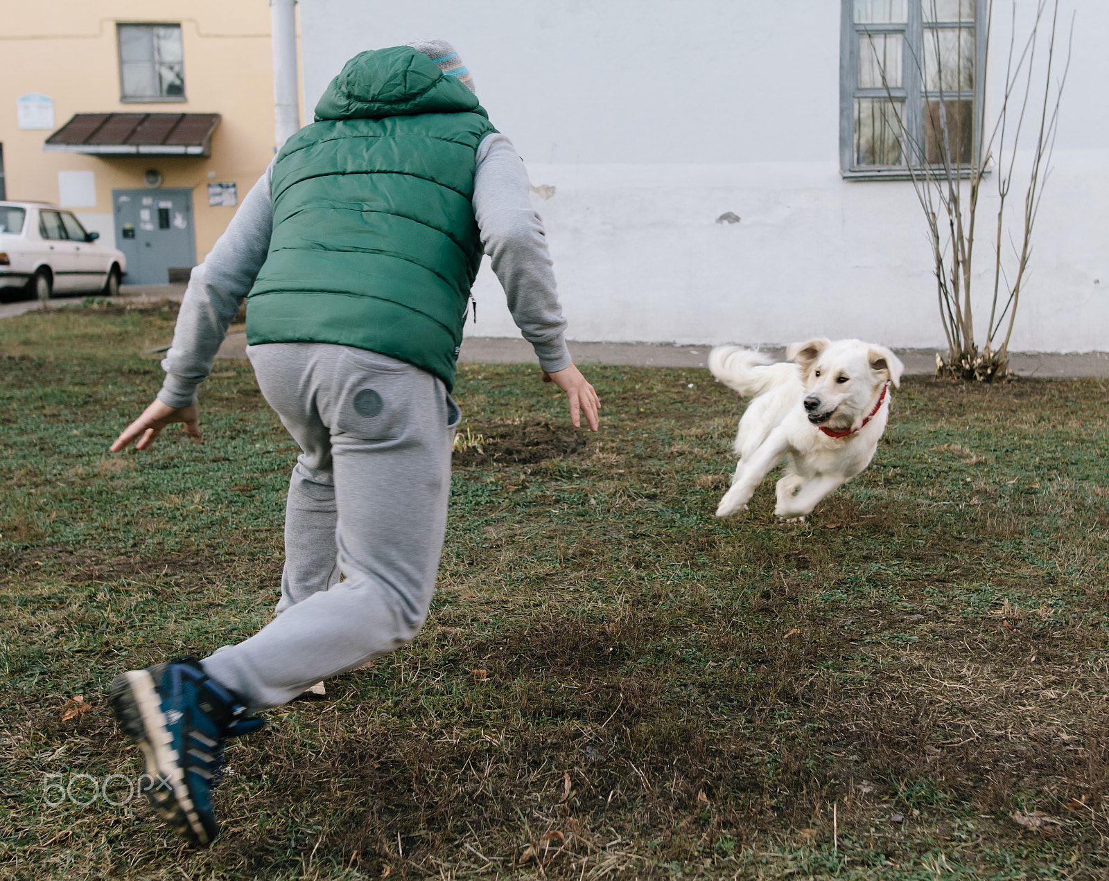 Sigma 24mm F1.4 DG HSM Art sample photo. Playing with a dog photography