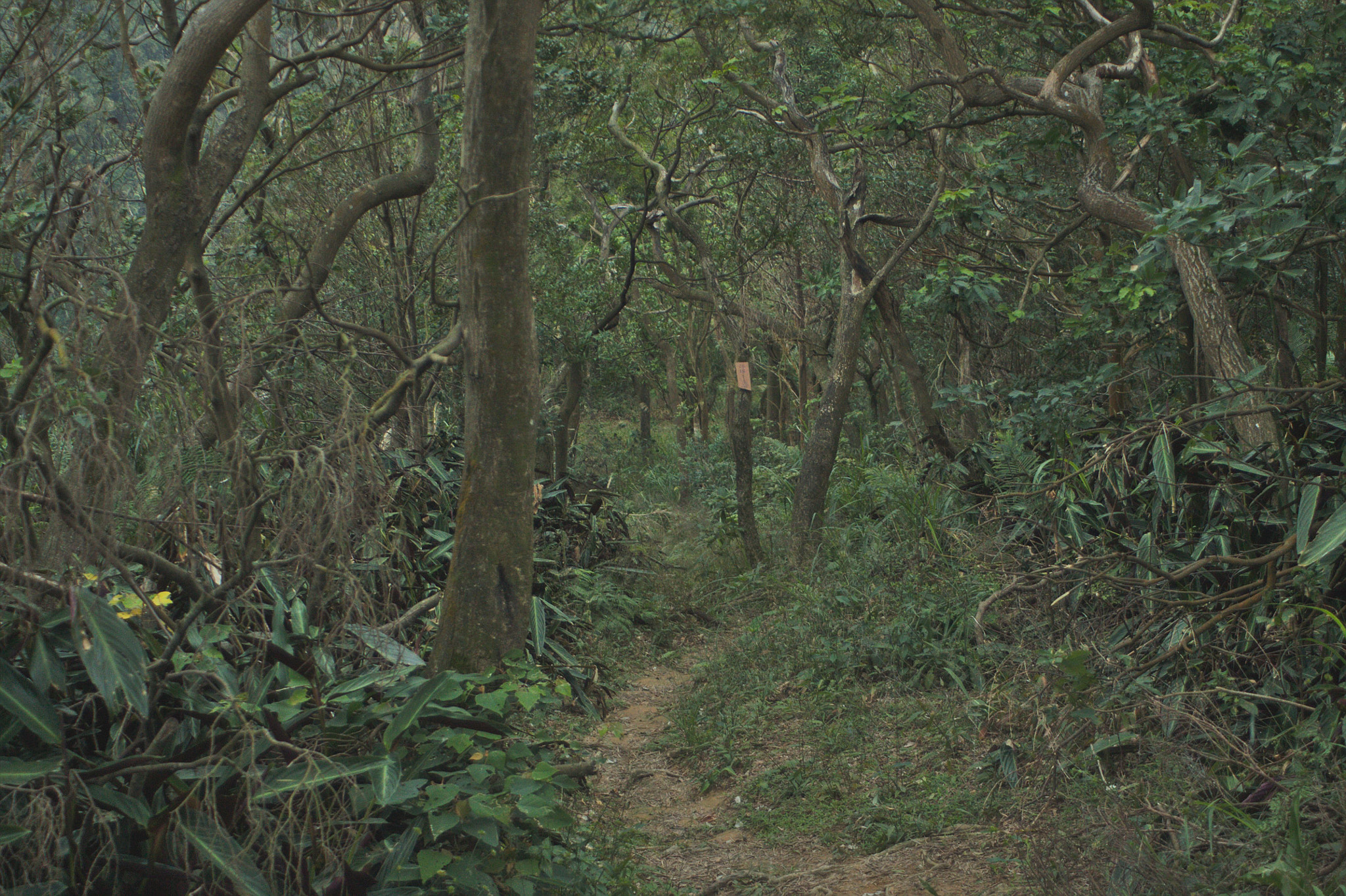 Canon EF 28-80mm f/3.5-5.6 sample photo. 20151219_0066.jpg photography