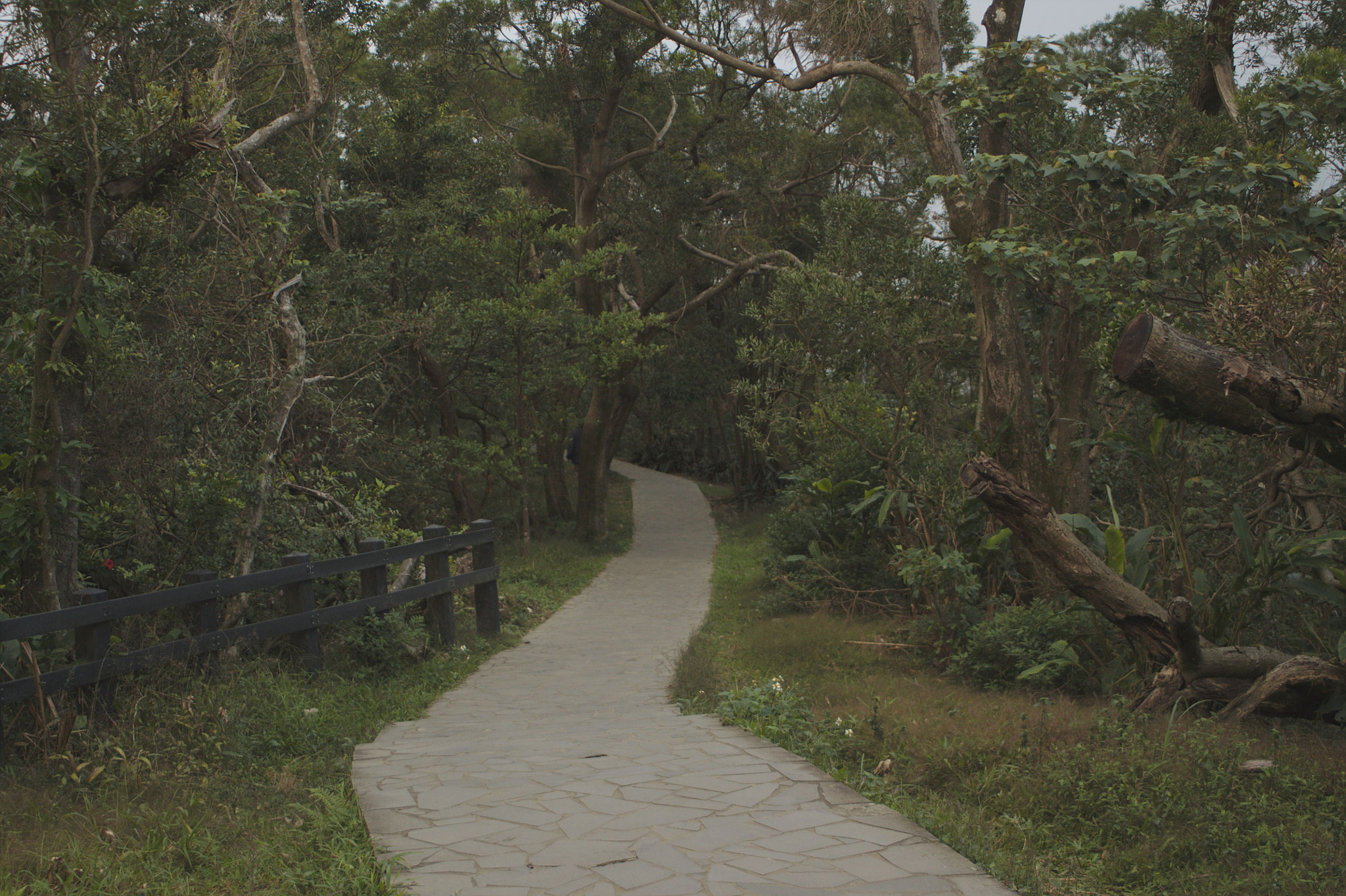 Canon EF 28-80mm f/3.5-5.6 sample photo. 20151219_0057.jpg photography