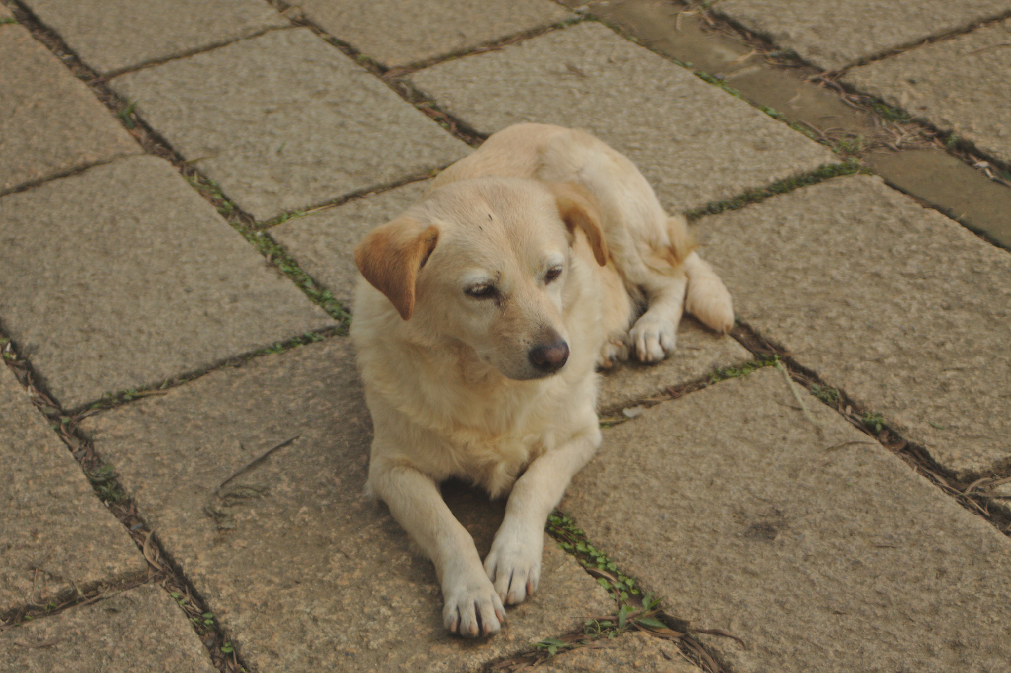 Canon EF 28-80mm f/3.5-5.6 sample photo. 20151219_0043.jpg photography