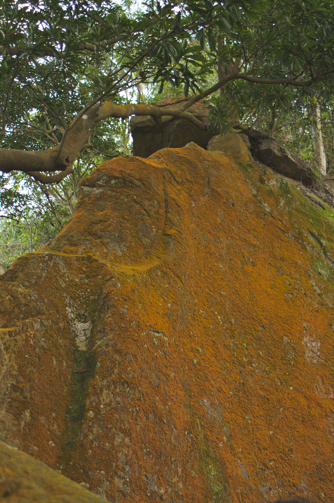 Canon EF 28-80mm f/3.5-5.6 sample photo. 20151219_0039.jpg photography
