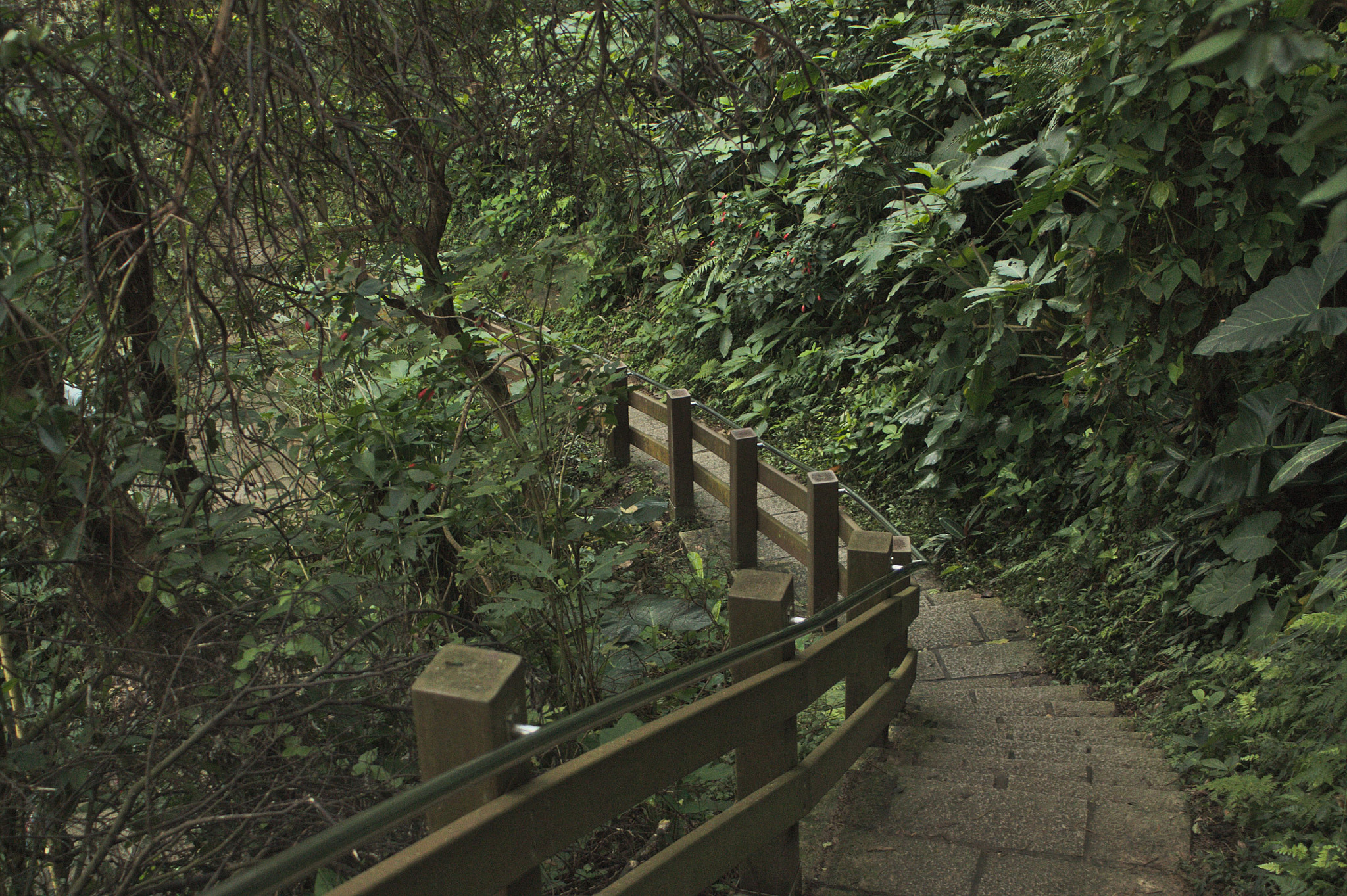 Canon EF 28-80mm f/3.5-5.6 sample photo. 20151219_0019.jpg photography