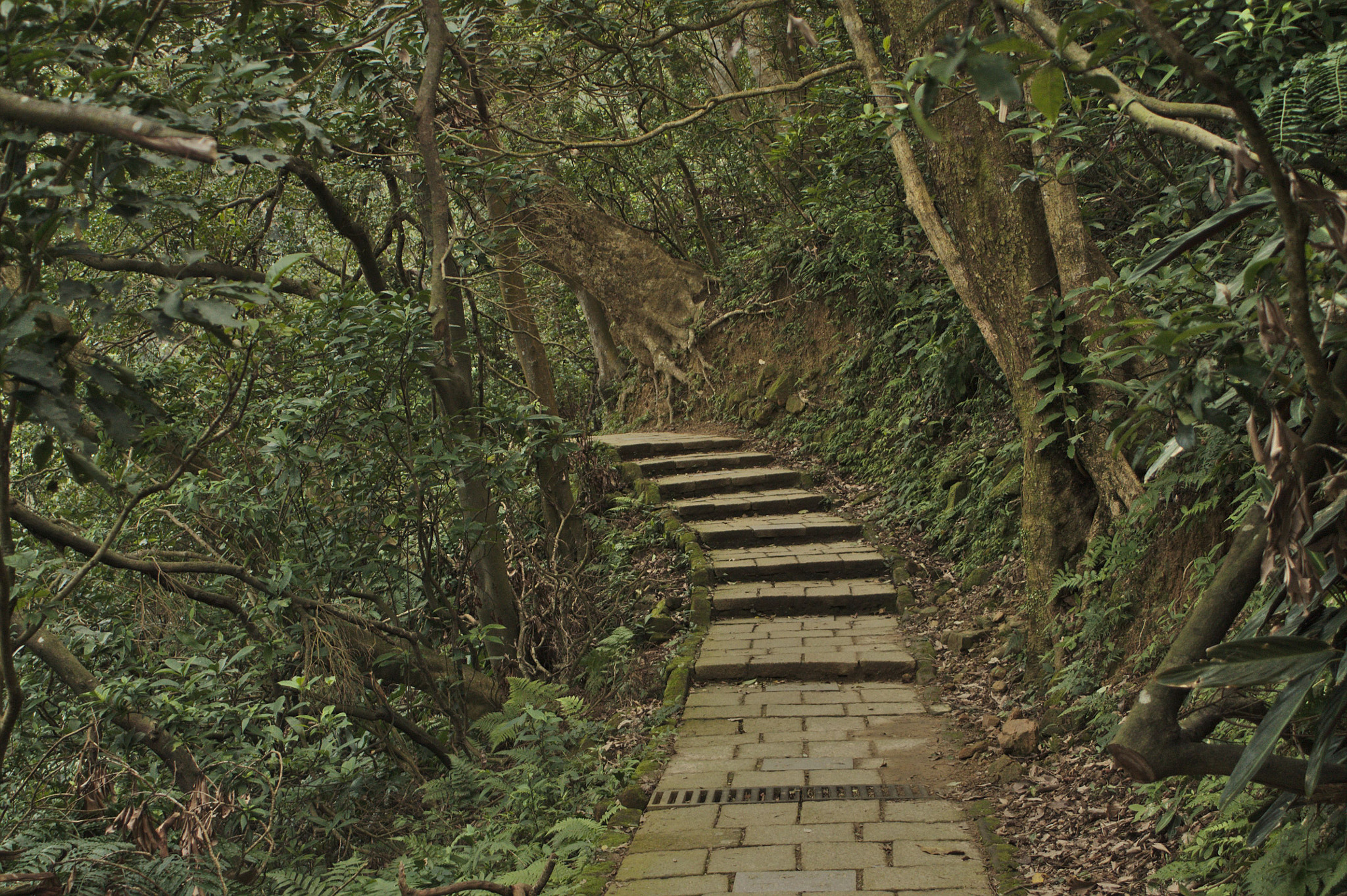 Canon EF 28-80mm f/3.5-5.6 sample photo. 20151219_0013.jpg photography