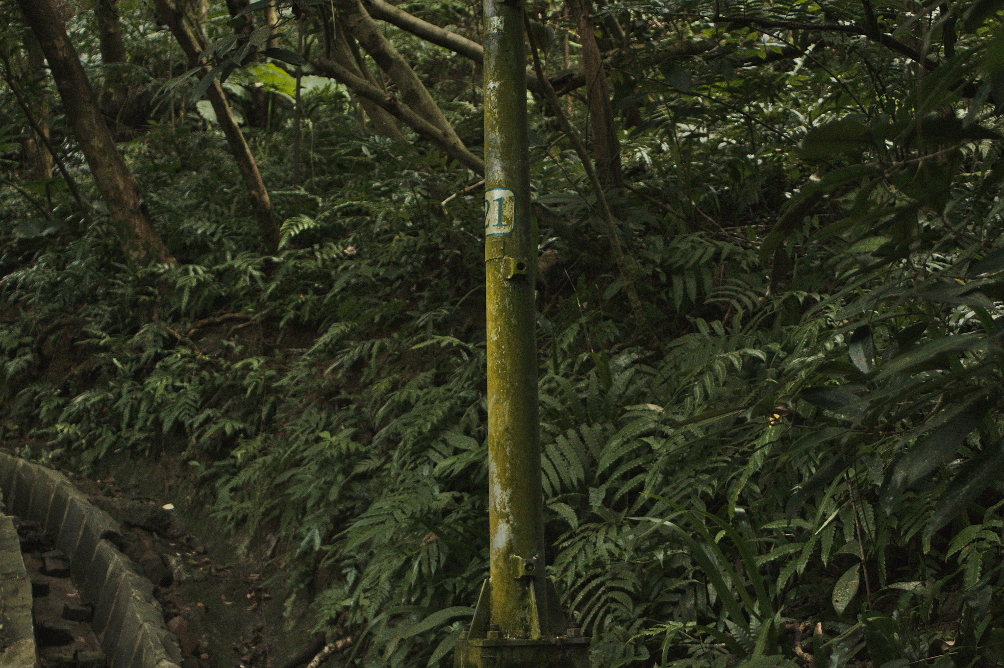 Canon EF 28-80mm f/3.5-5.6 sample photo. 20151219_0004.jpg photography