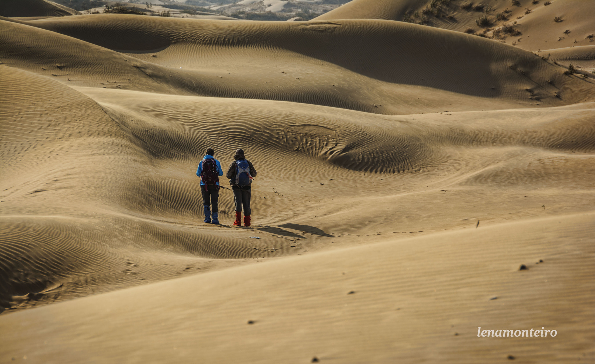 Sigma 18-250mm F3.5-6.3 DC OS HSM sample photo. Desert... photography