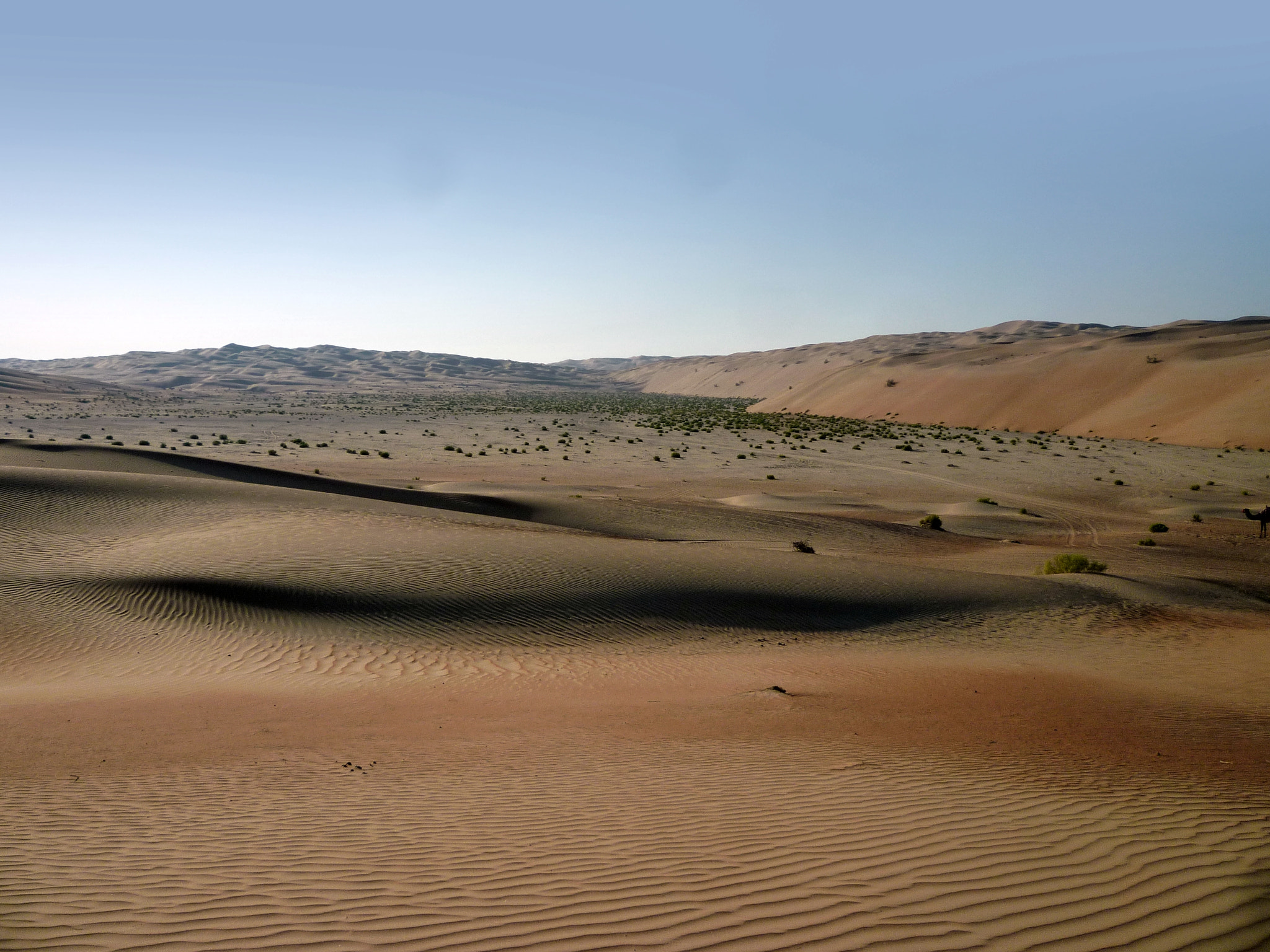 Panasonic DMC-FS15 sample photo. Empty quarter photography