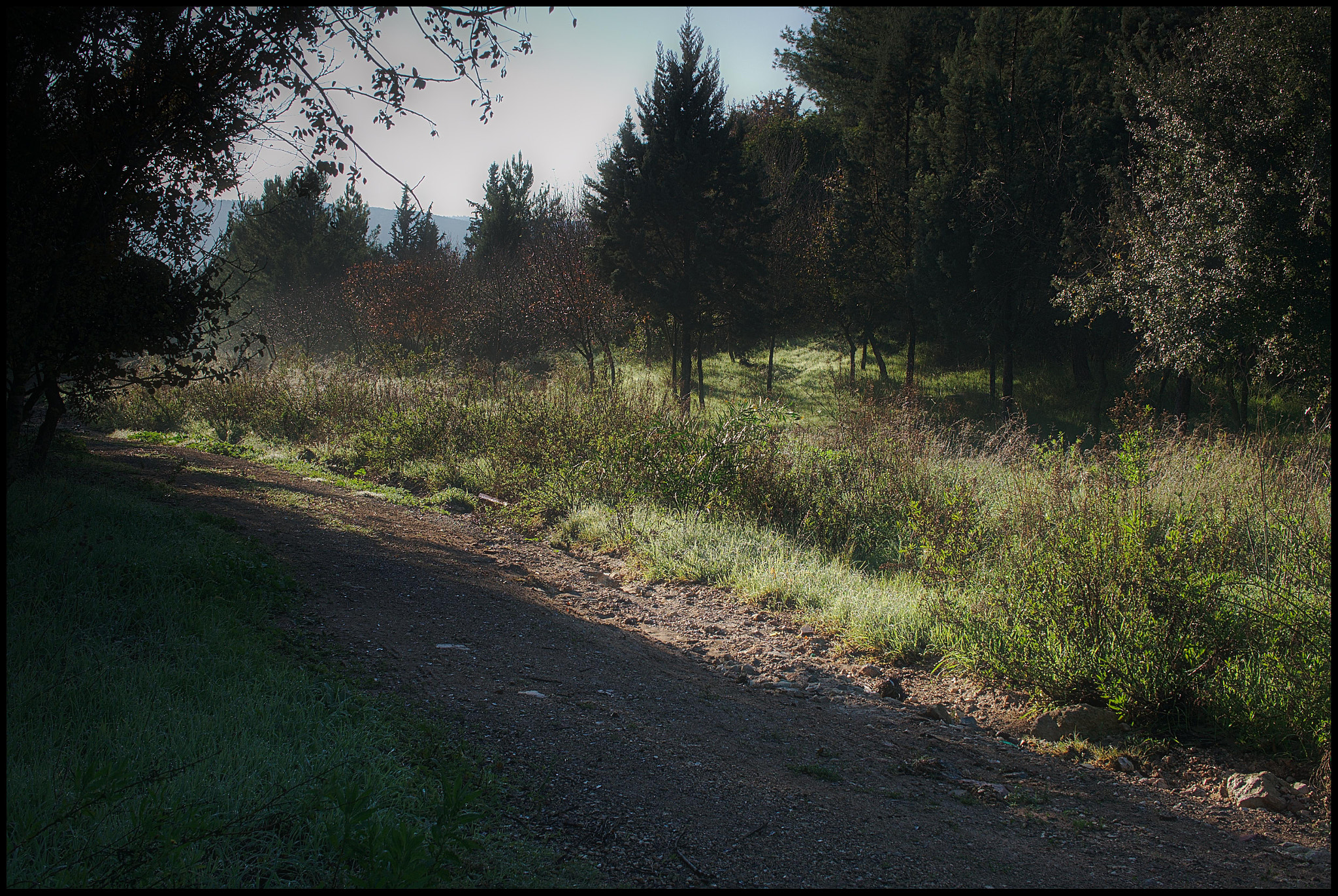 Sony Alpha NEX-5N + Sigma 30mm F2.8 EX DN sample photo. Let the sun shine in... photography