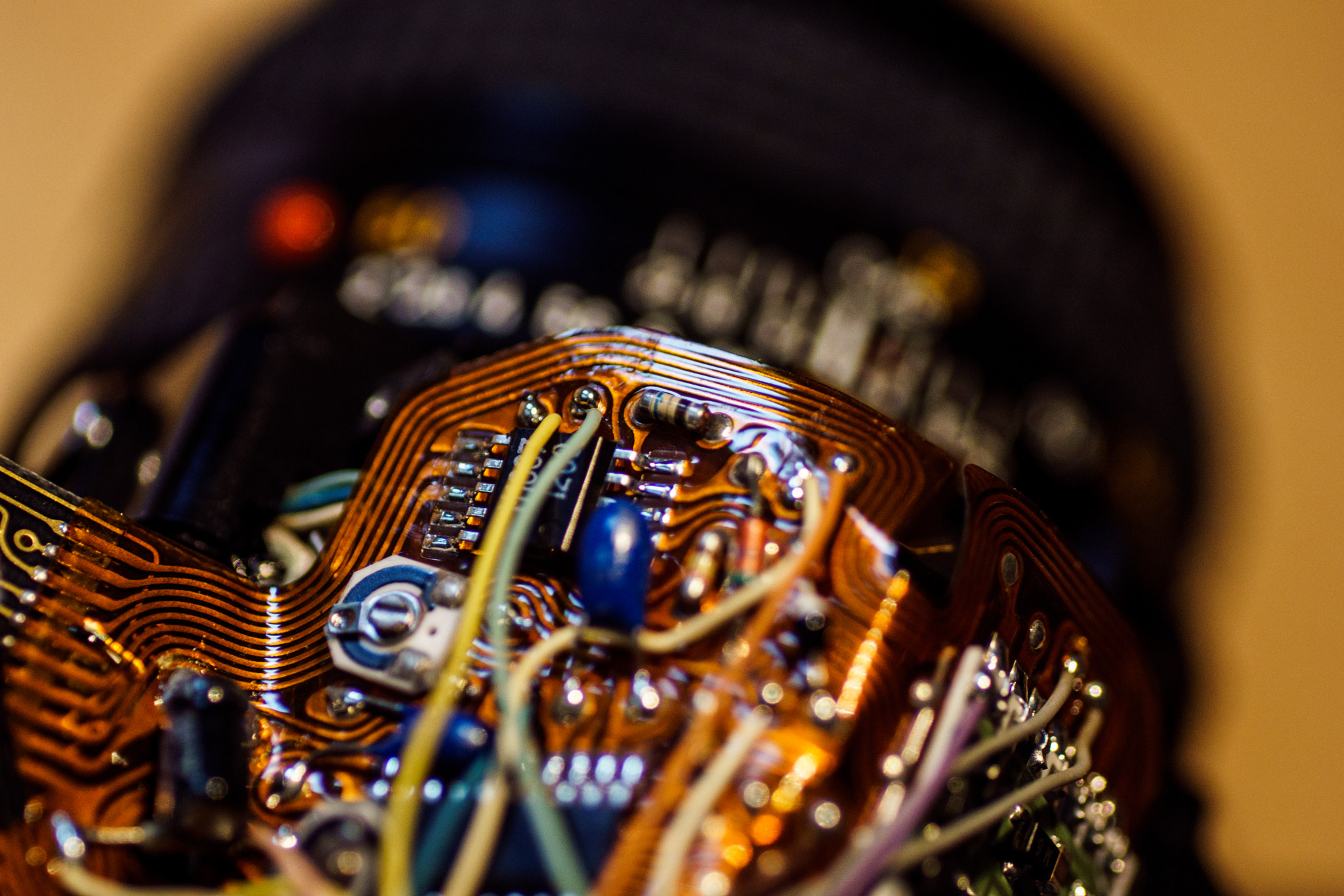 Sony ILCA-77M2 + Tamron SP AF 90mm F2.8 Di Macro sample photo