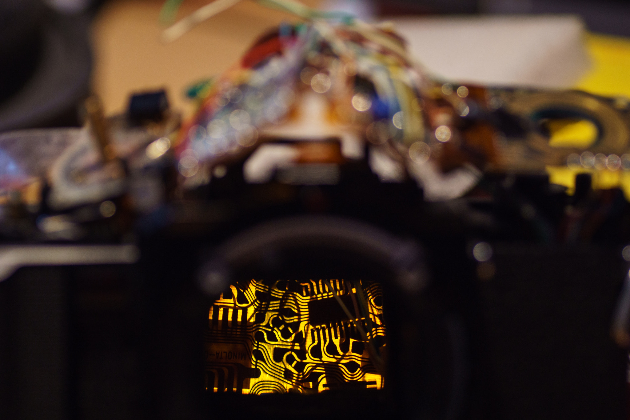 Sony ILCA-77M2 + Tamron SP AF 90mm F2.8 Di Macro sample photo