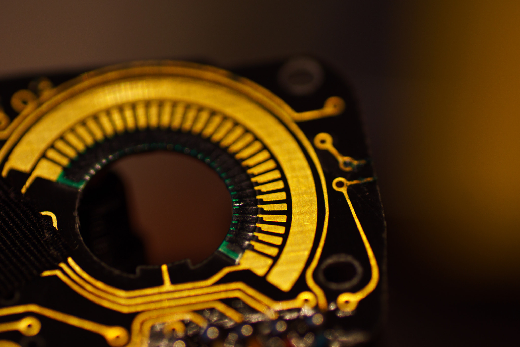 Sony ILCA-77M2 + Tamron SP AF 90mm F2.8 Di Macro sample photo