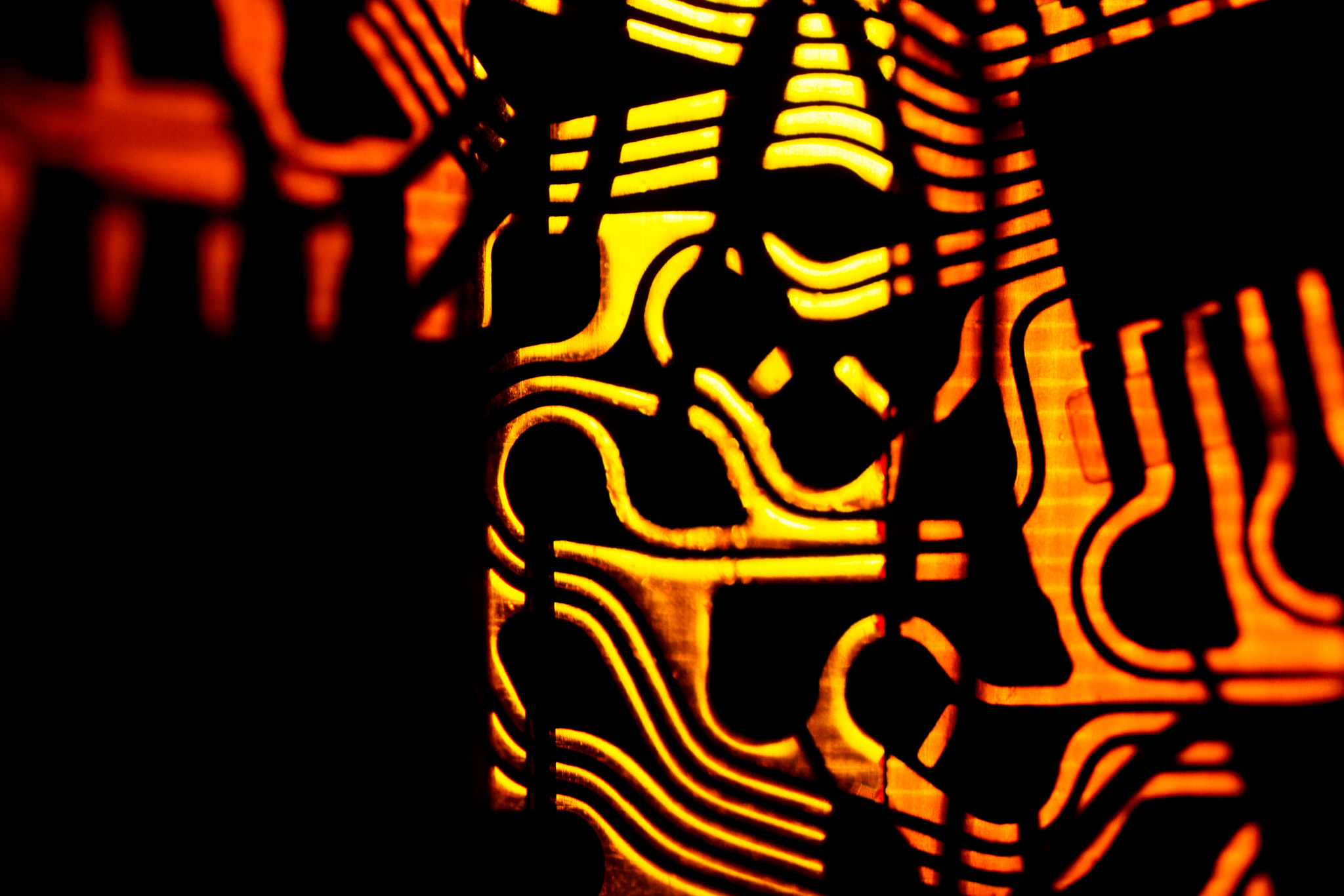 Sony ILCA-77M2 + Tamron SP AF 90mm F2.8 Di Macro sample photo