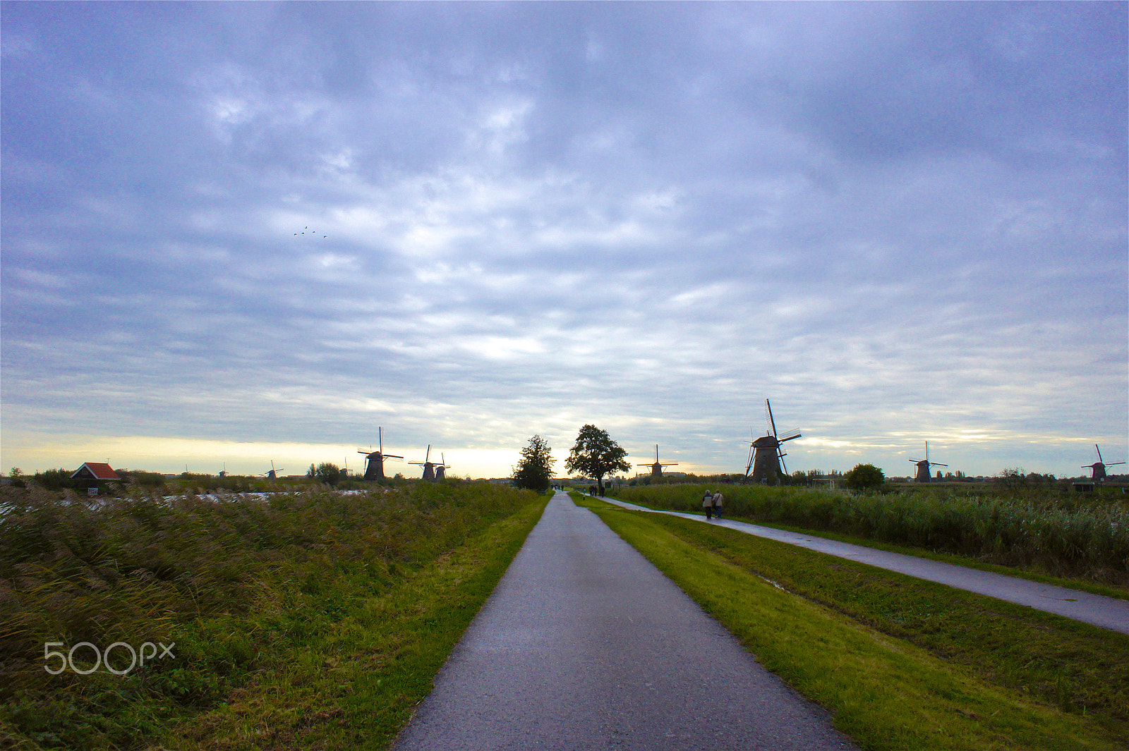 Sony Alpha NEX-5 + Sony E 16mm F2.8 sample photo. Kinderdijk's windmill photography