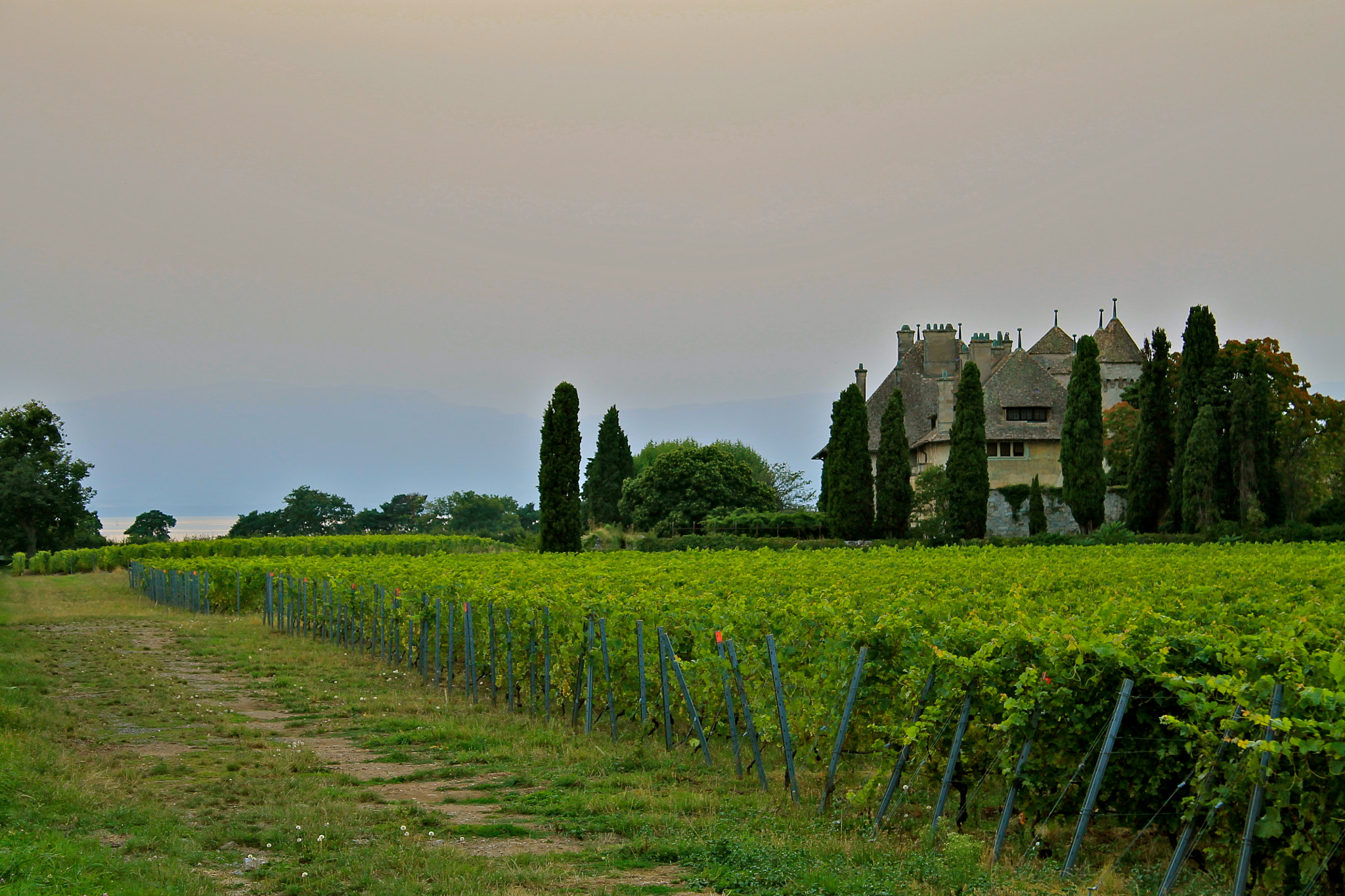 Ripaille Castle