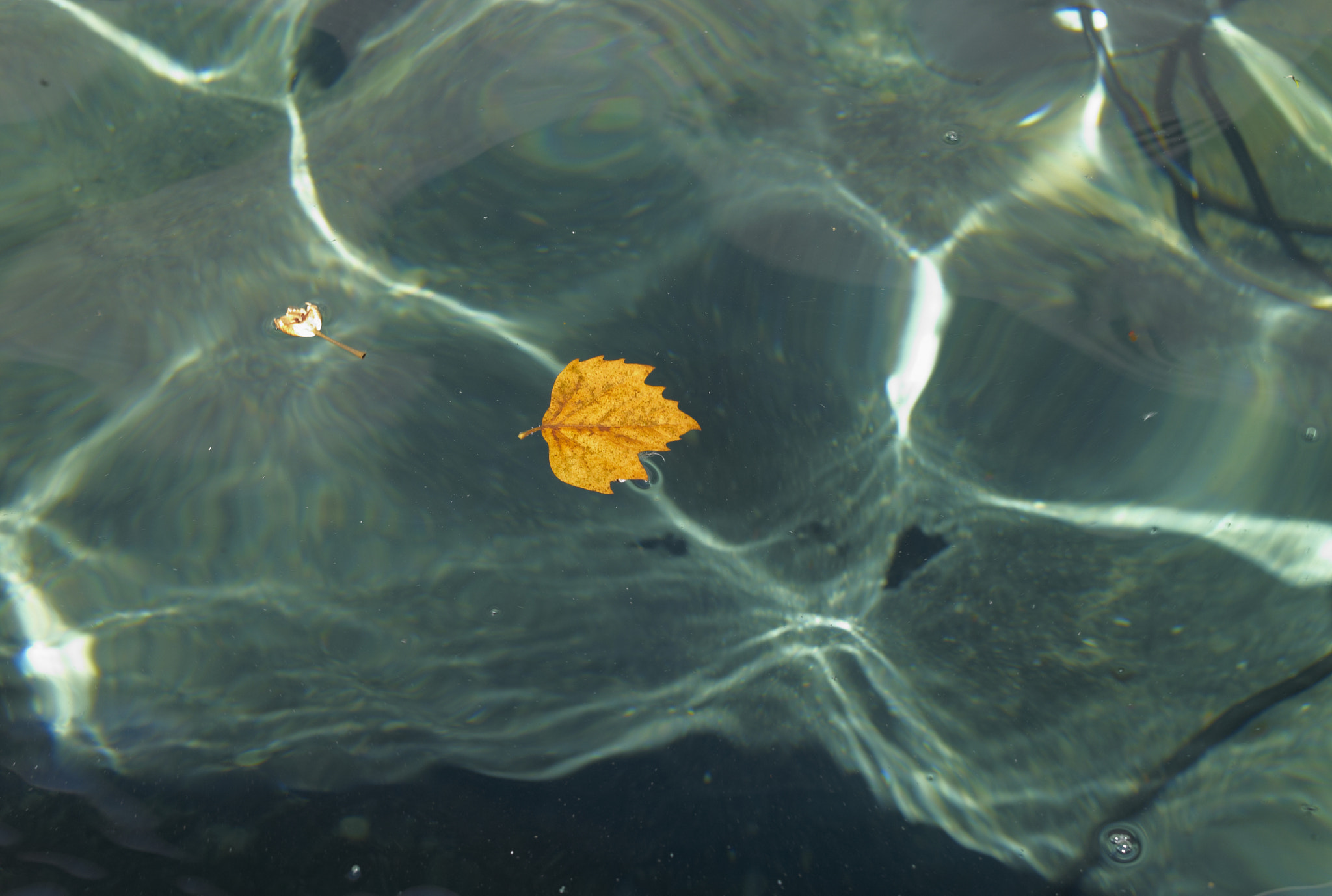 Leica M8 sample photo. * photography