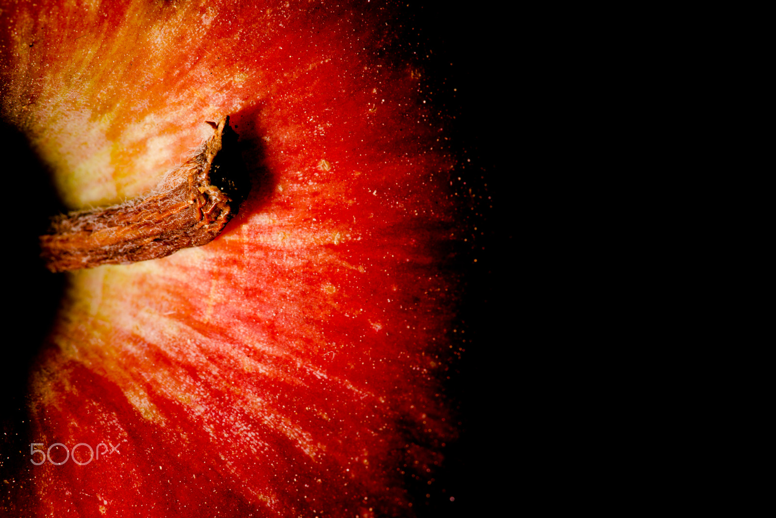 Sony Alpha DSLR-A850 + Minolta AF 100mm F2.8 Macro [New] sample photo. Half apple photography