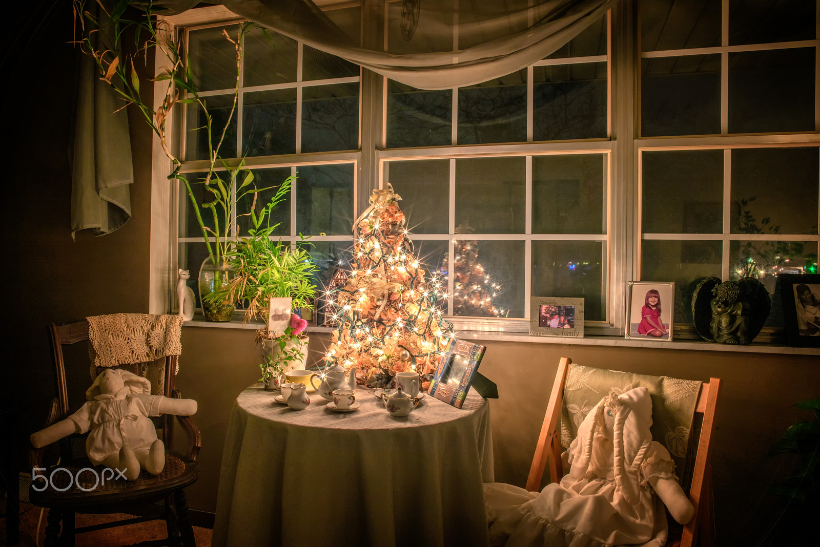 Samyang 12mm F2.8 ED AS NCS Fisheye sample photo. Flop eared bunny christmas tea photography