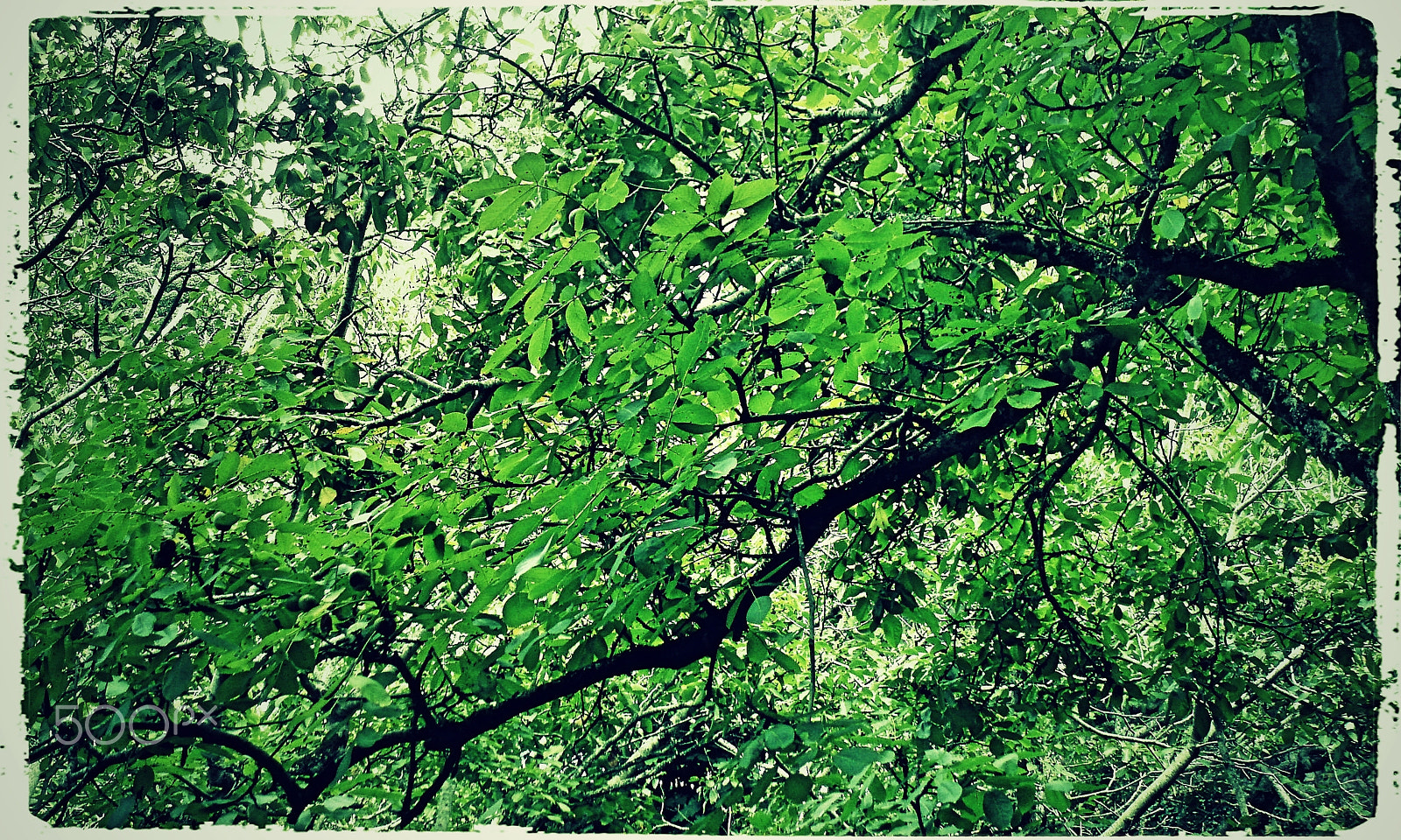 Olympus u760,S760 sample photo. Sintra 2015 photography