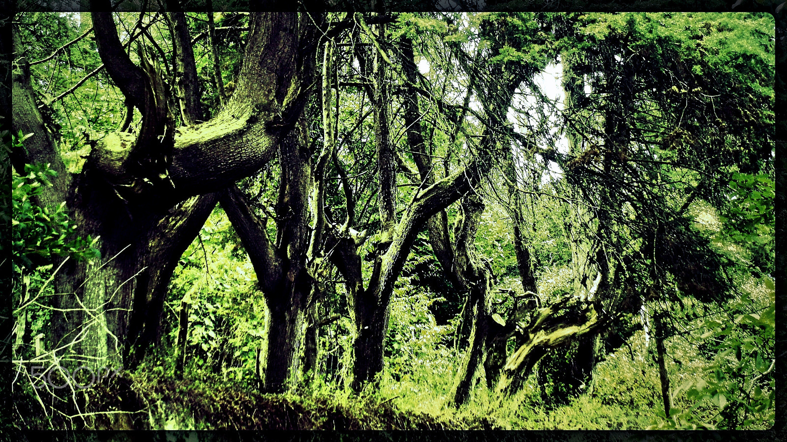 Olympus u760,S760 sample photo. Sintra 2015 photography