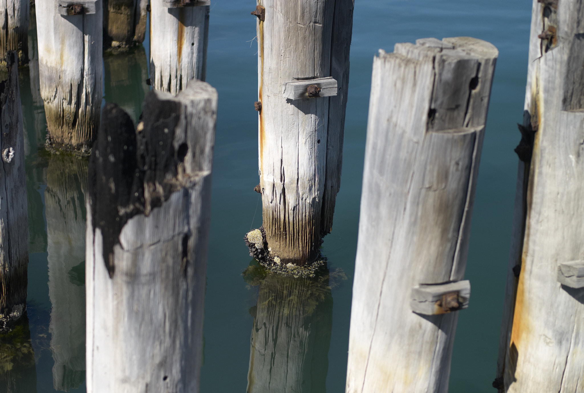 Leica M8 sample photo. * photography